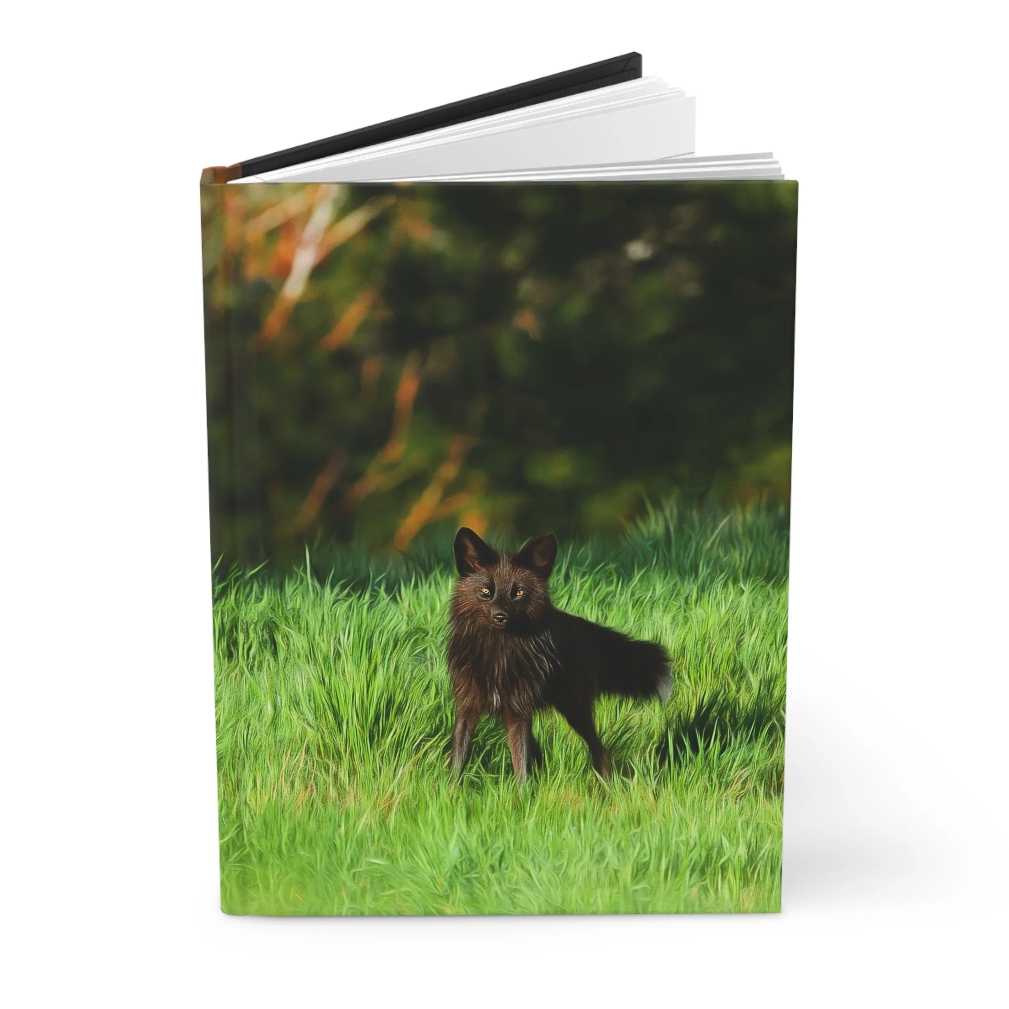 a1d88a8c21b20d5039d7038c29be8026