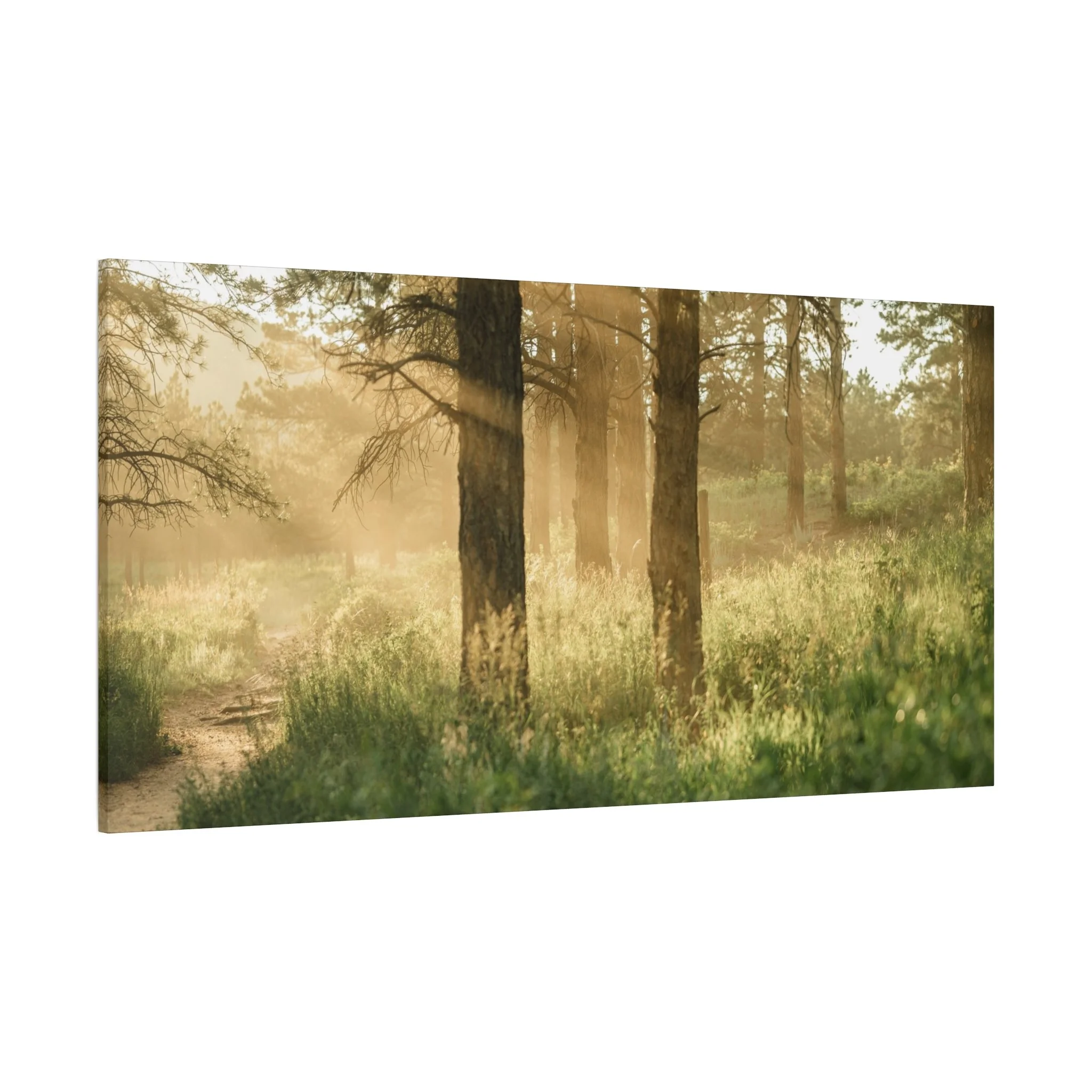 aba7aecf121f3cd38a20500ee3a5d284