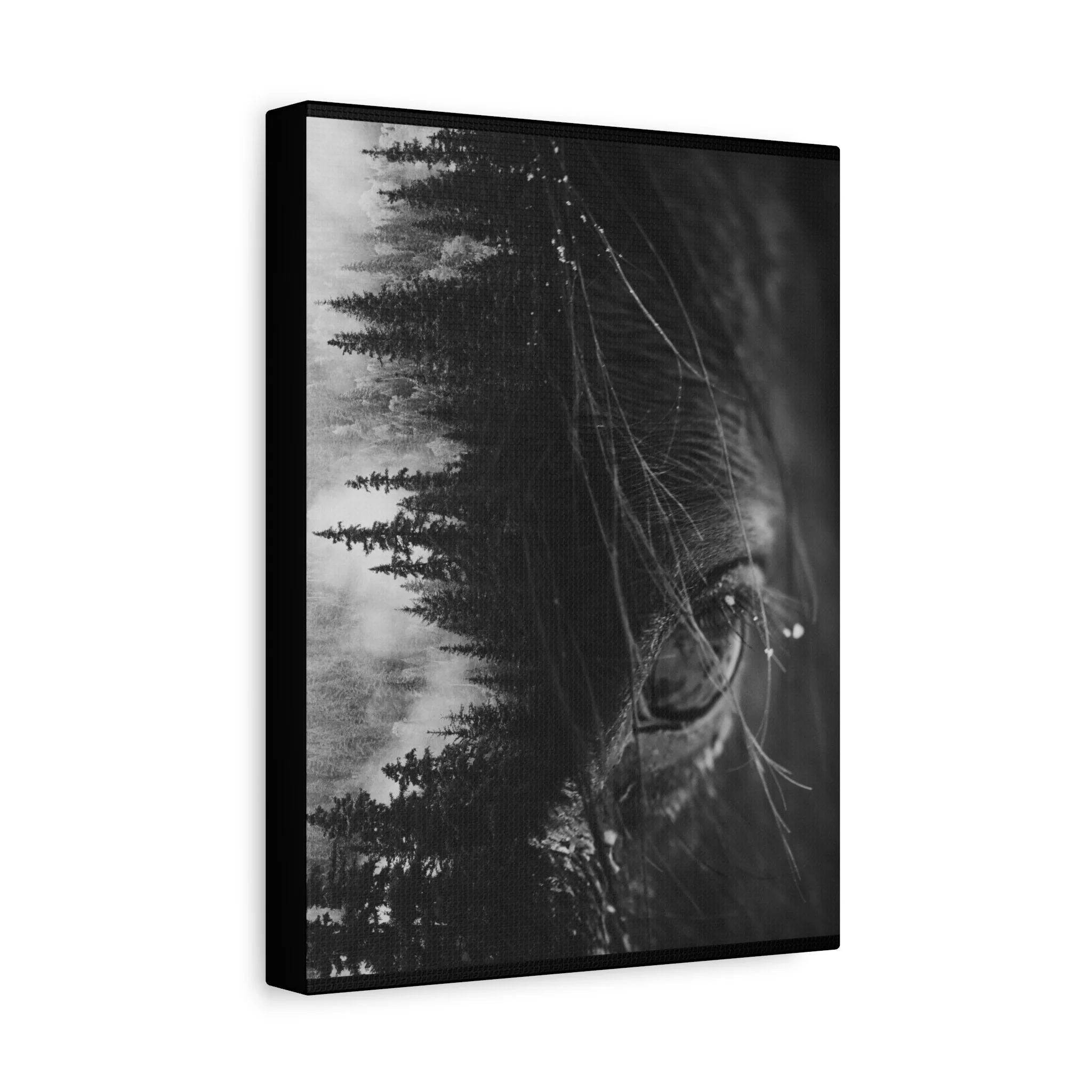 7f0143962eb430bca16c0362fca5f9a3