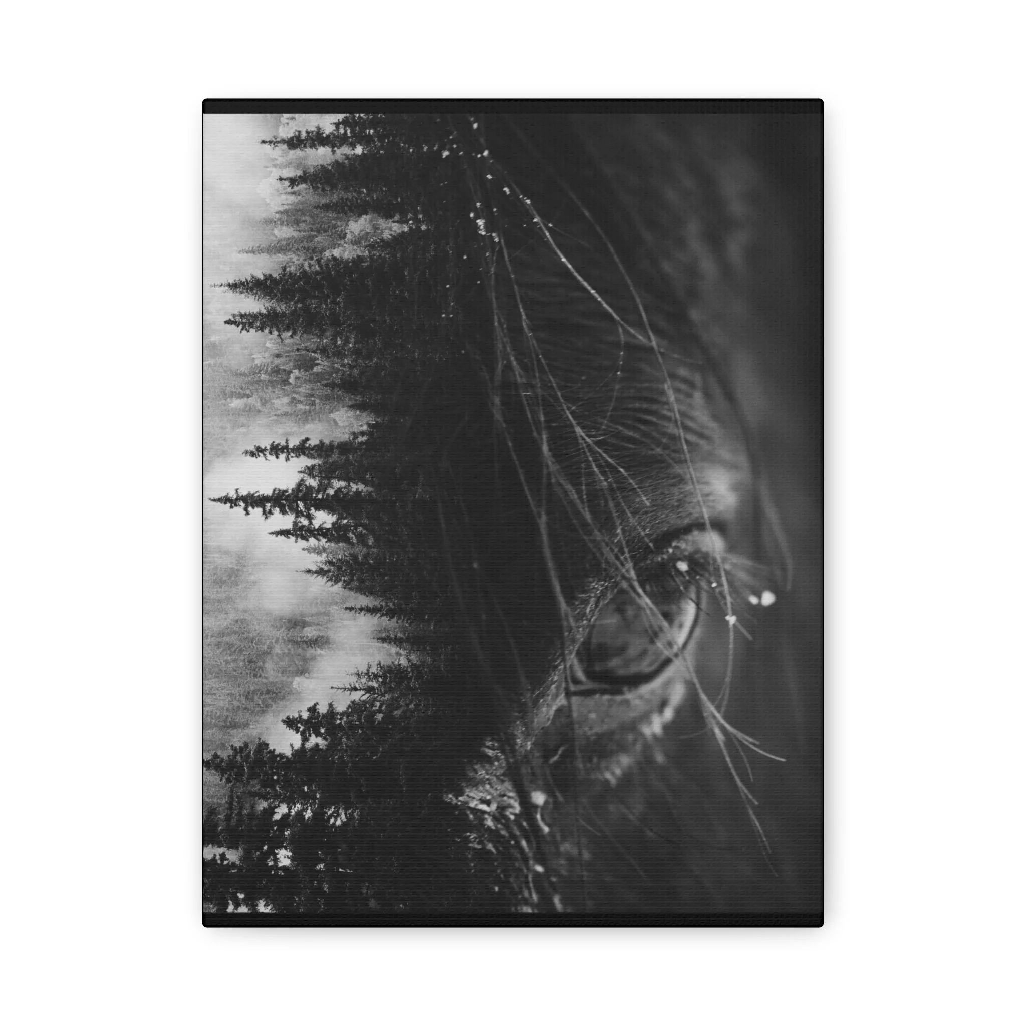 1d449e1bb0c11c8231363289249d45e7