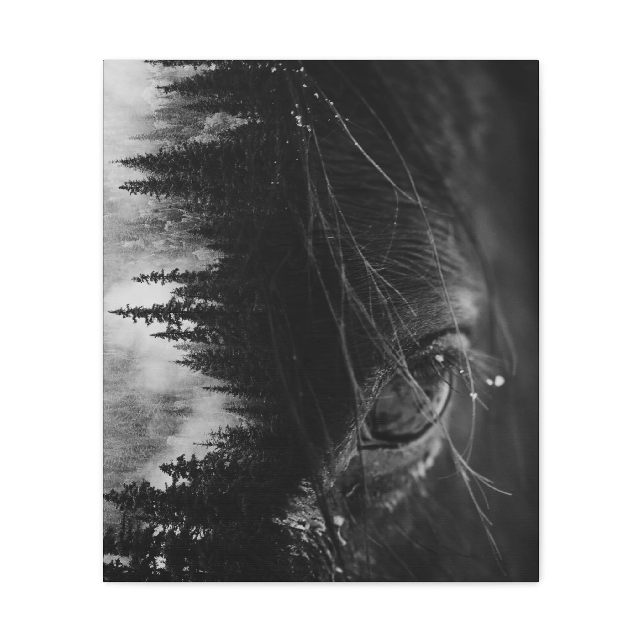 0858a0601947ddc5d29773183038cb71