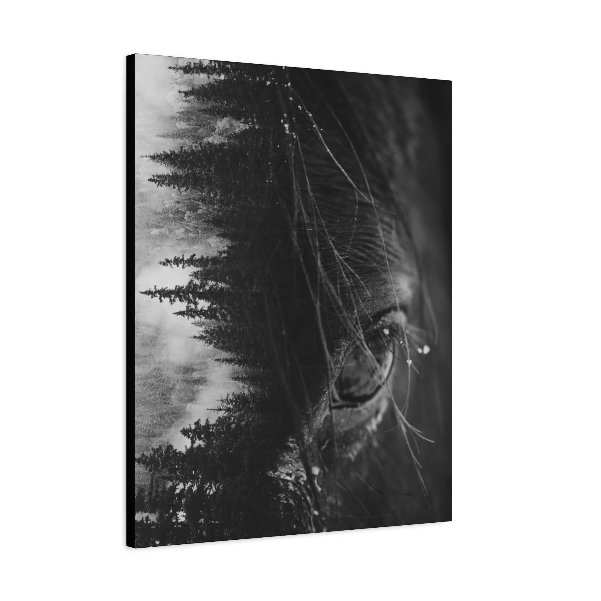 13717d455cd5d527c6d89ca950fd0444