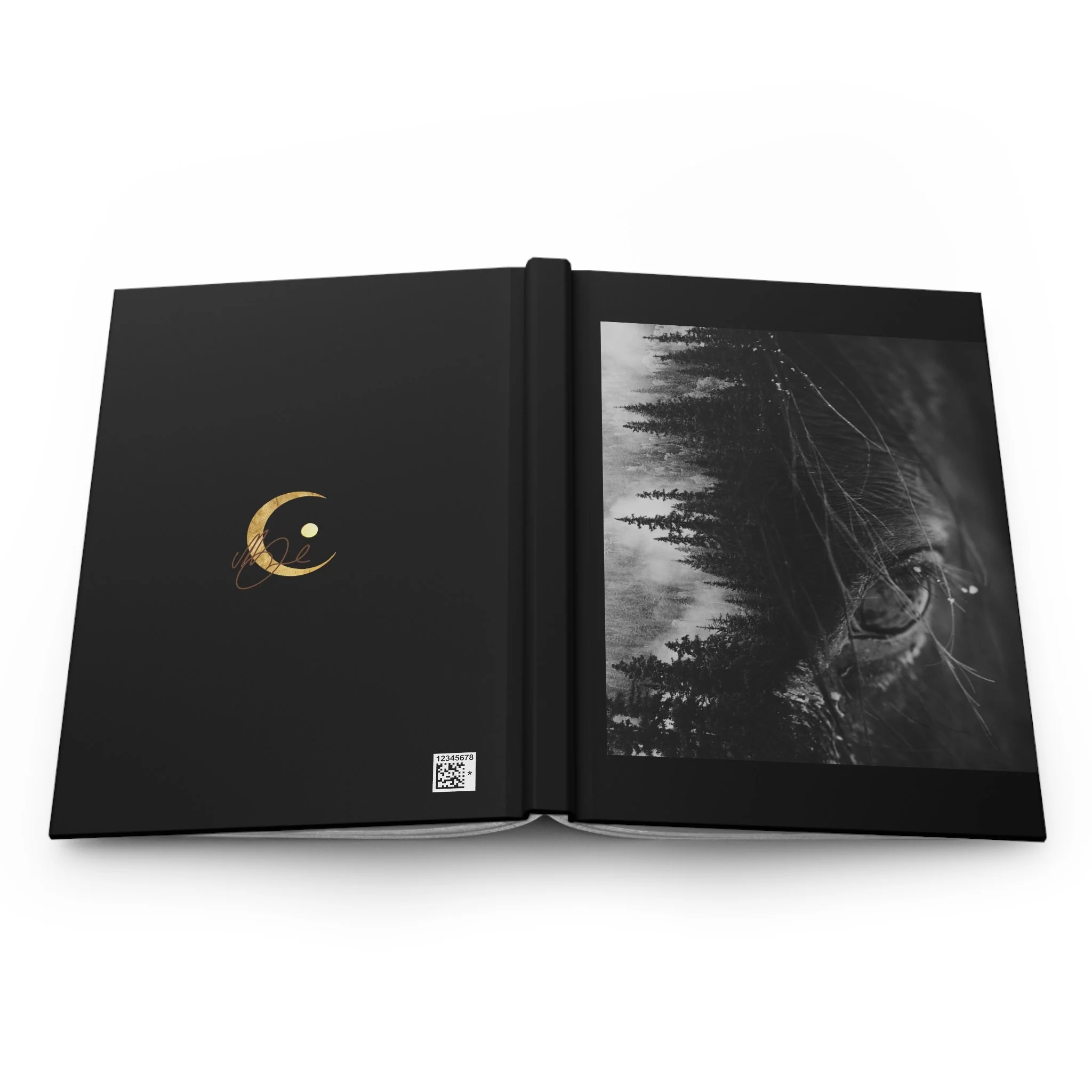 8a0a3d662d2d119e3d00f96b998e71d6