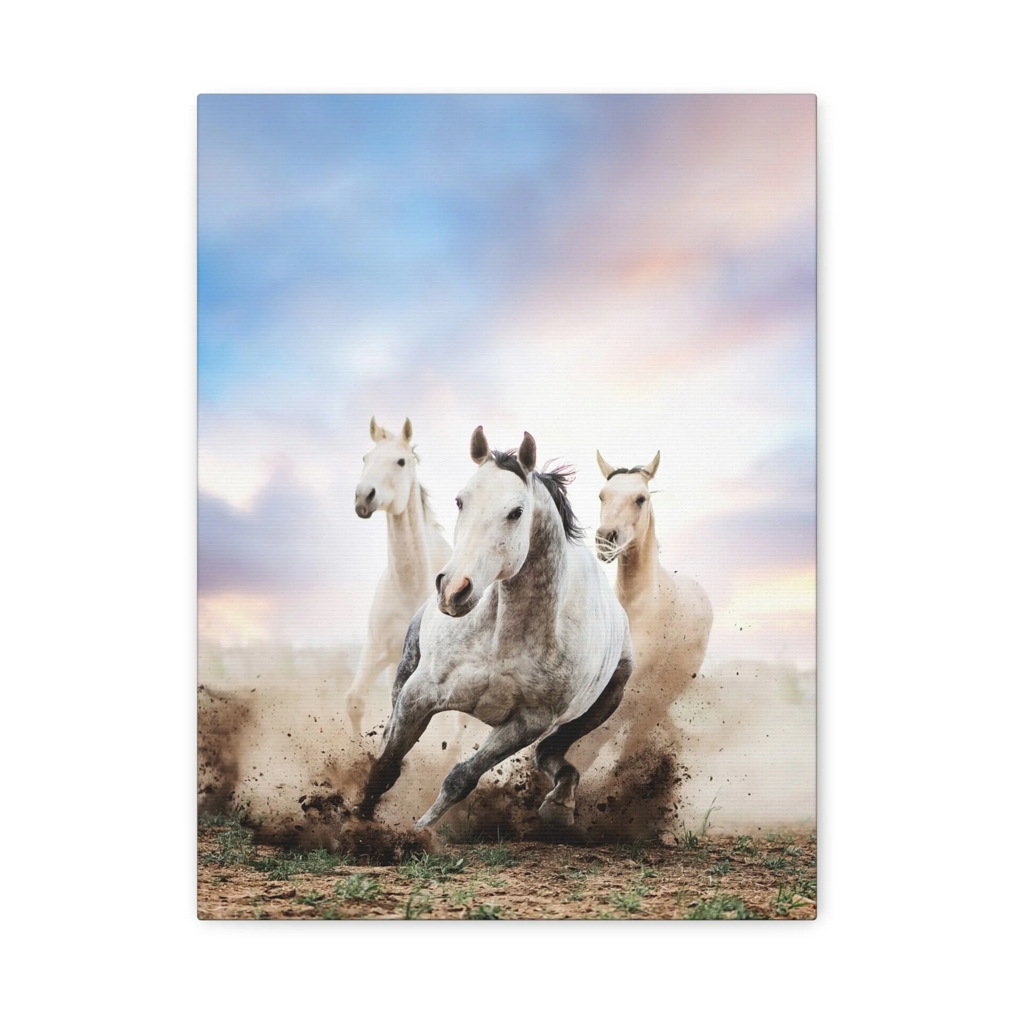 08a0cf5f009164f580606f9535ed4a3a