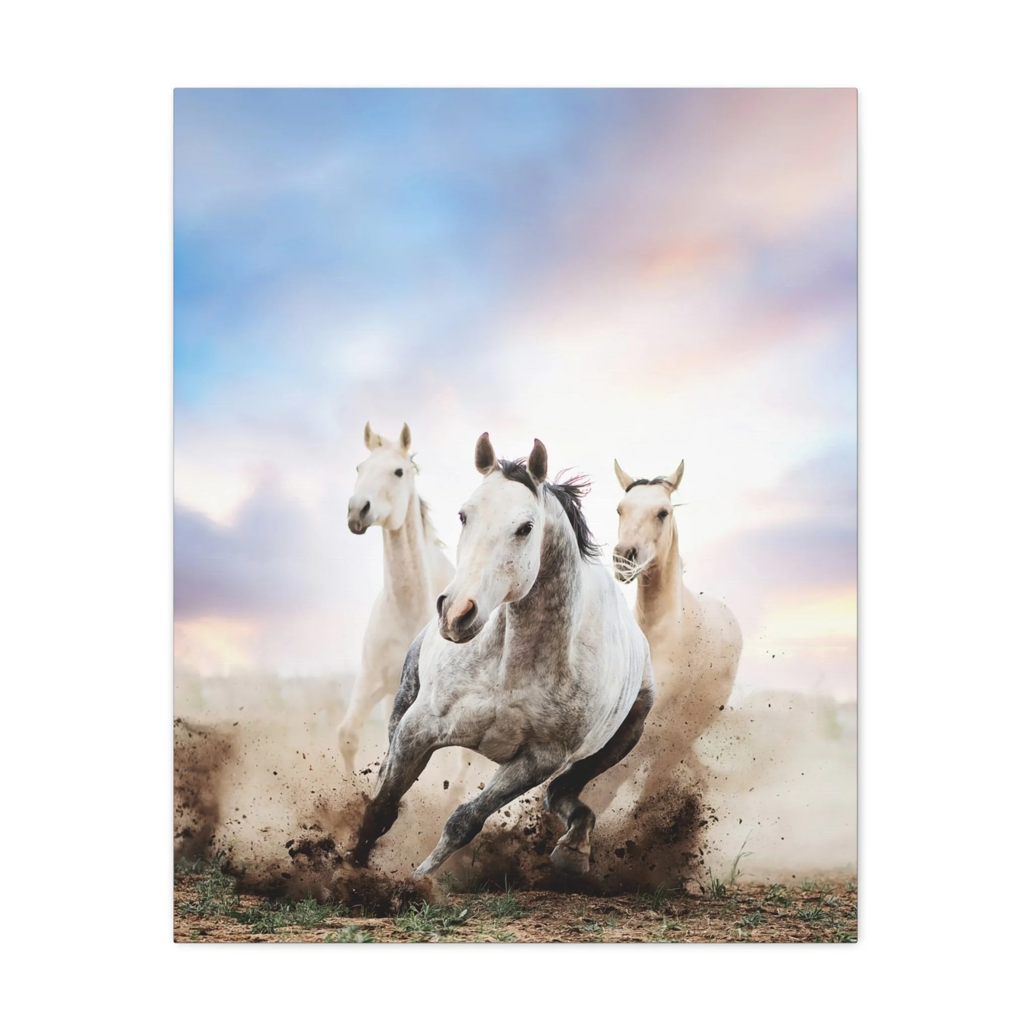 305ae25d3fbeb4774536e2ceedfad84e