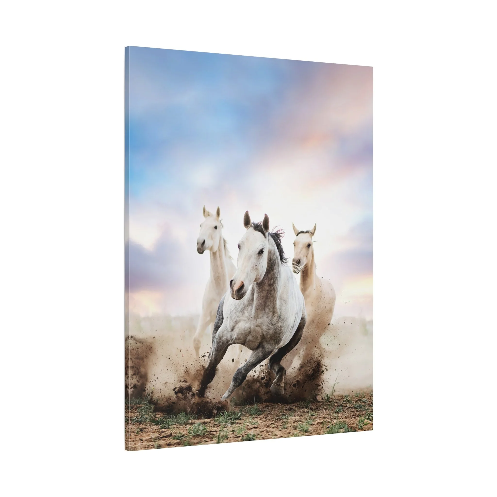 be0383444713f8232eefed61ca20b9c4