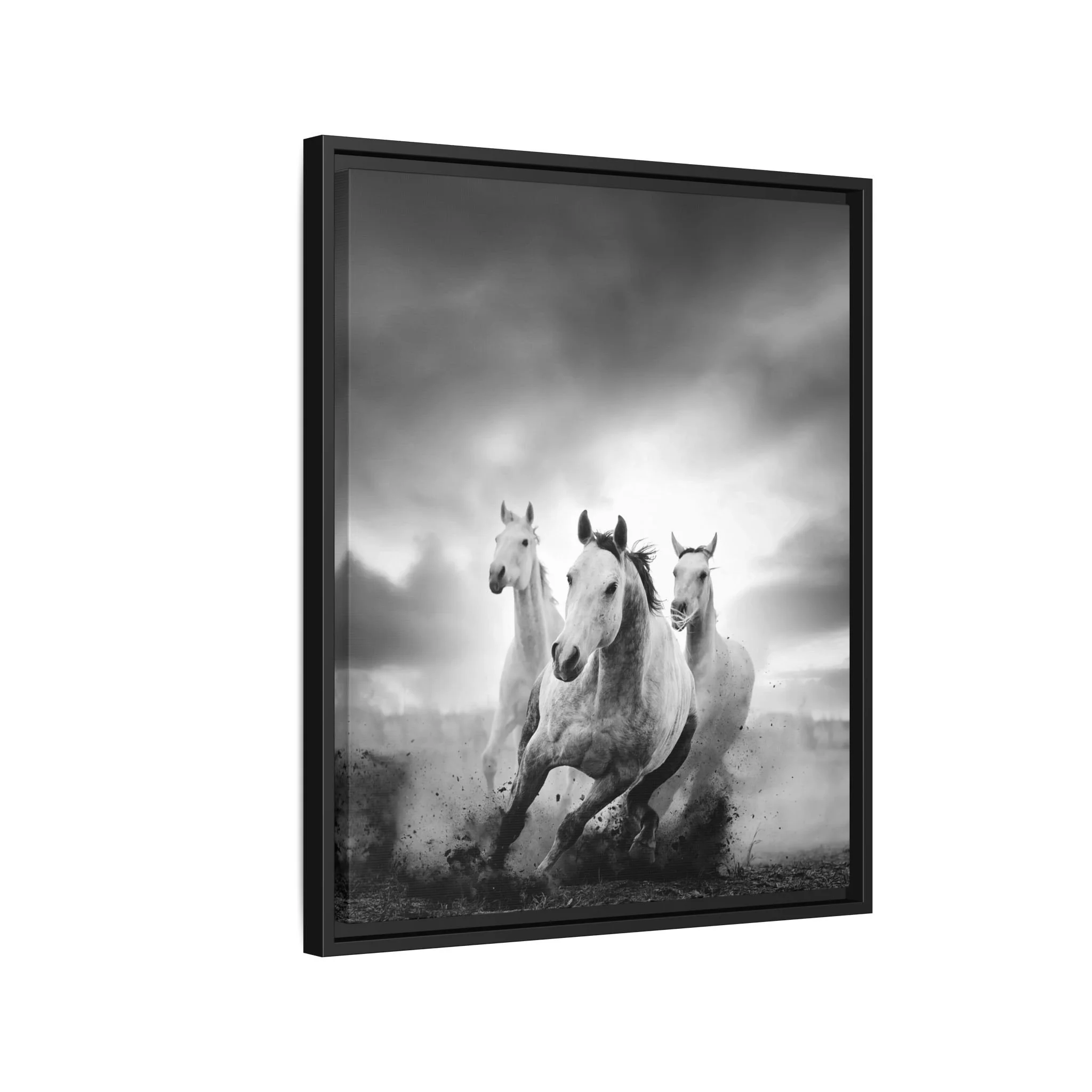 3d737d4902512343ff5d335e85c8169c