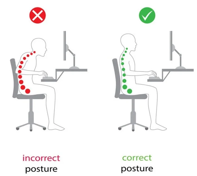 *Fig 1. Posture image form https://theacidrefluxsolution.com
