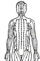 acupuncture-points.jpg