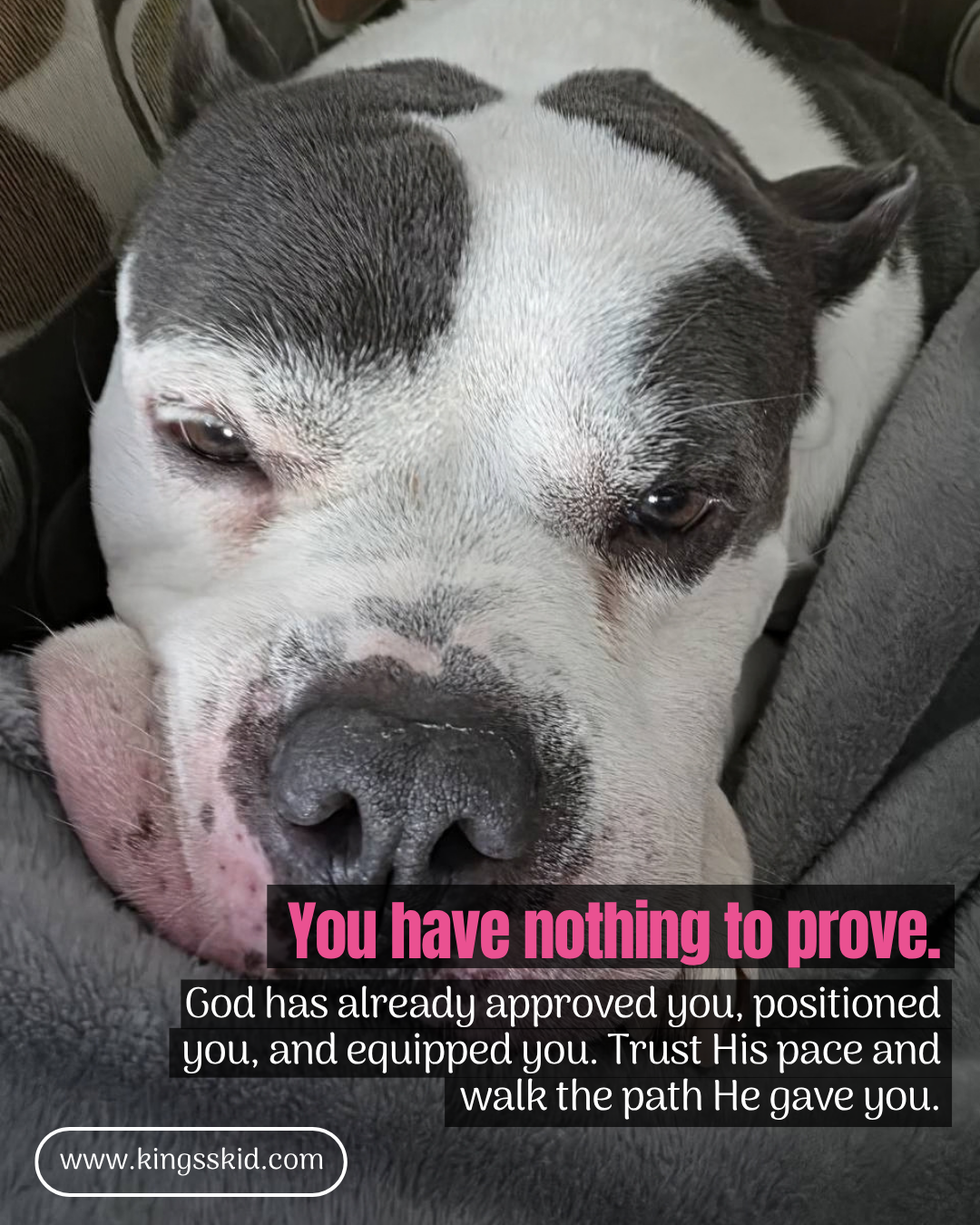 Nothing to Prove