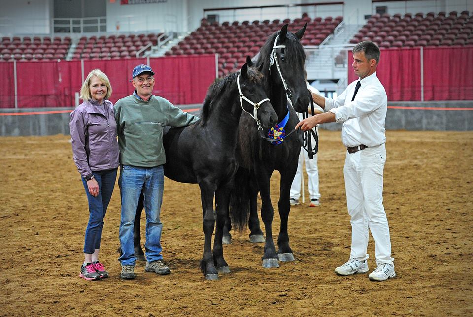 Colt and Overall Youth Champion