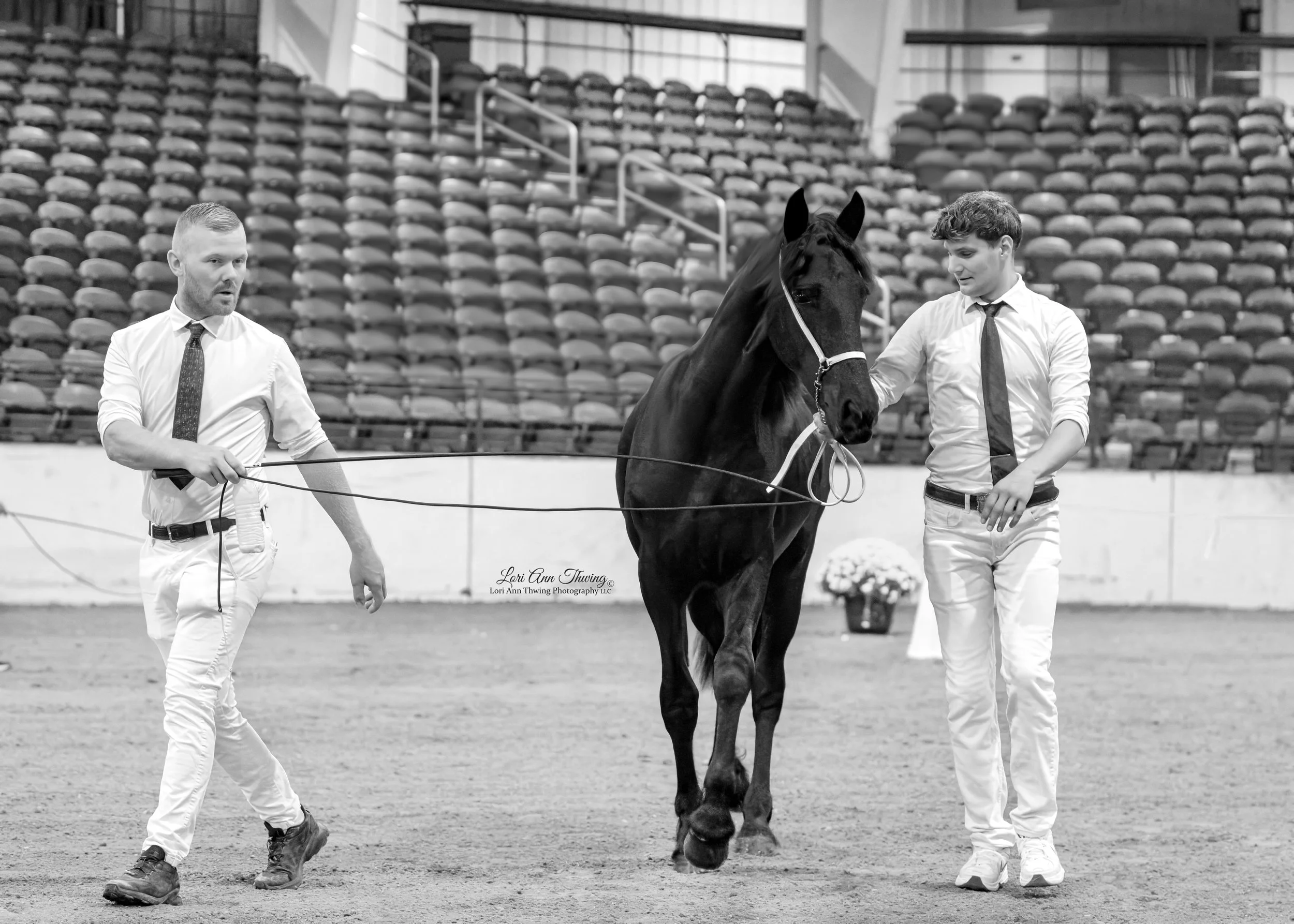 aDSC_3378s bw.jpg