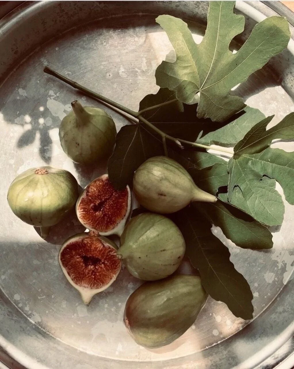 green+figs.jpg
