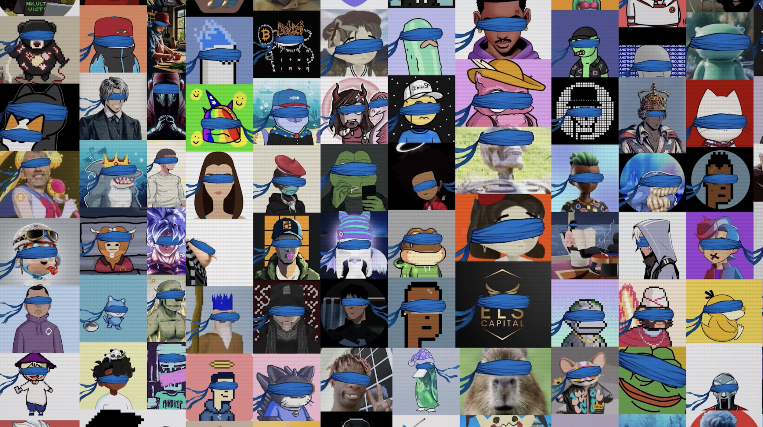 The Nillion Community Story