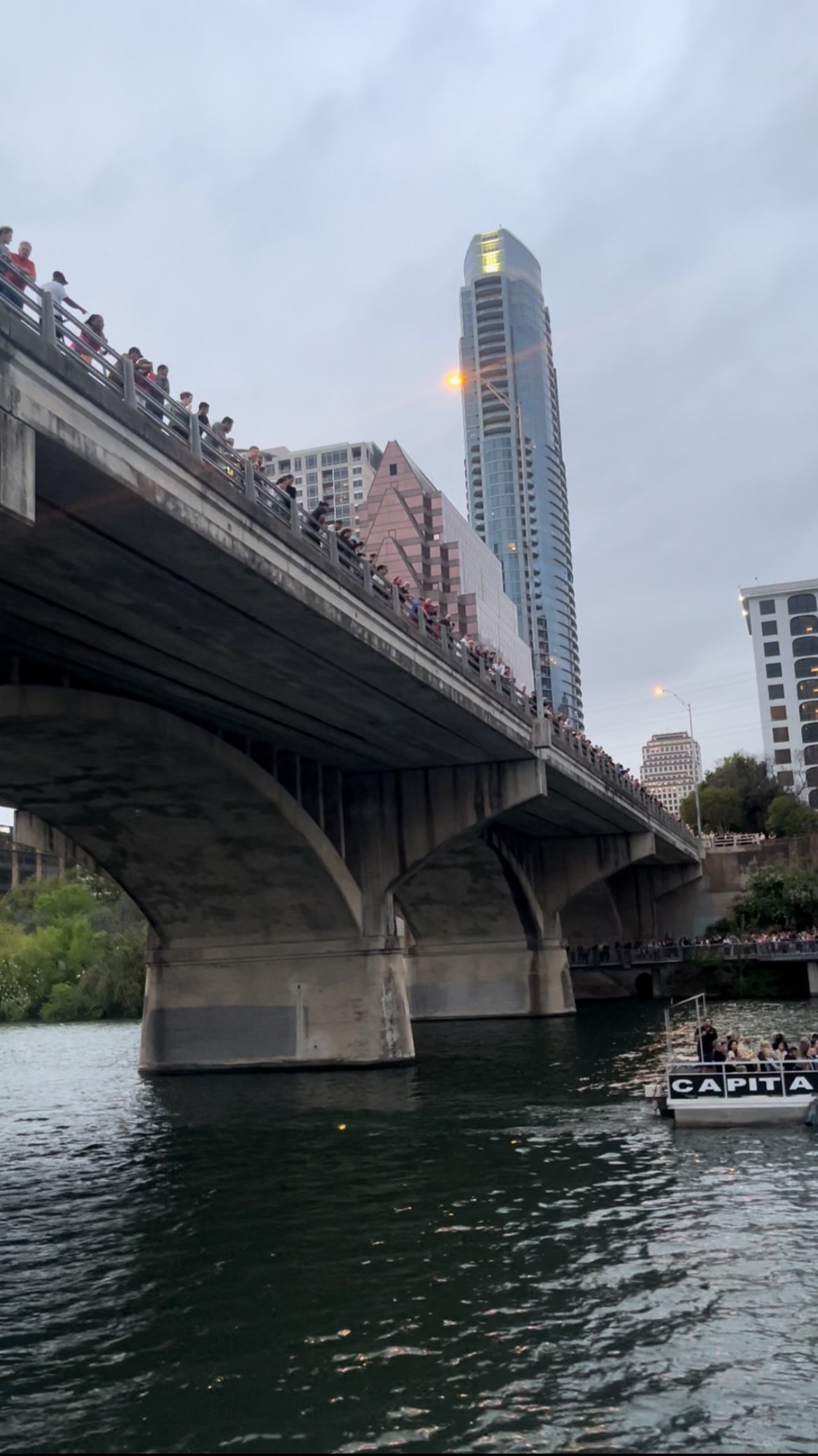 Bat watching on Congress Avenue Bridge
