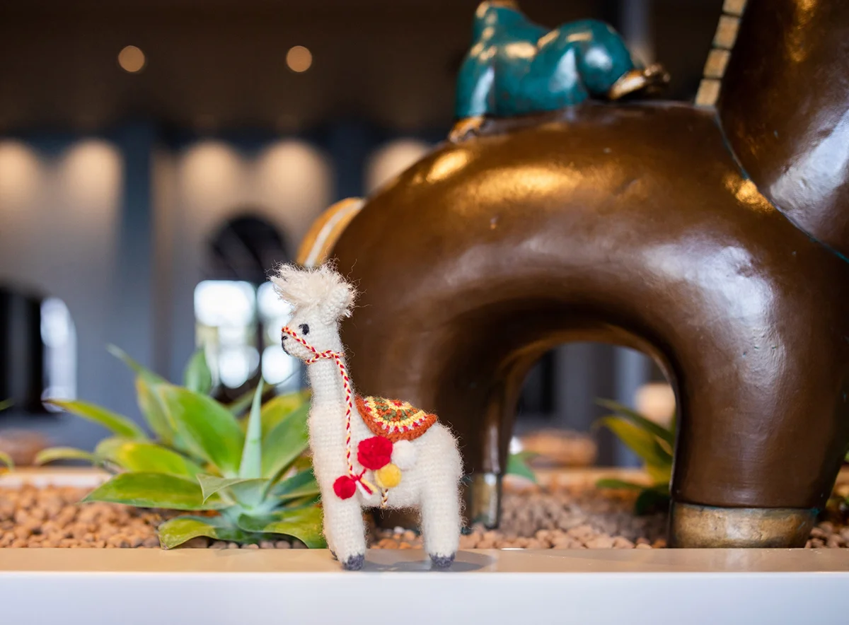 Alpaca.jpg