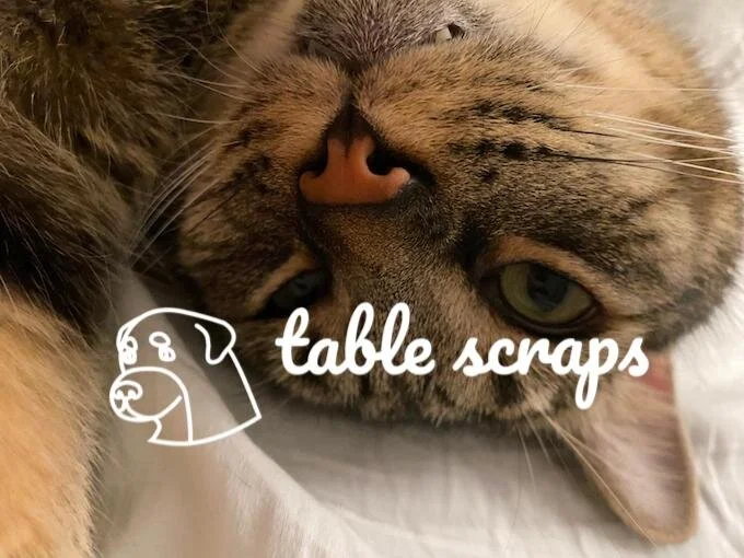 Table Scraps: Hey All You Cool Cats & Kittens