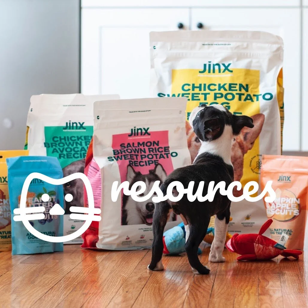 Get to Know: Jinx