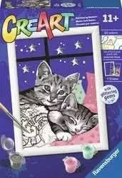 Paint By Number Sleepy Kitten