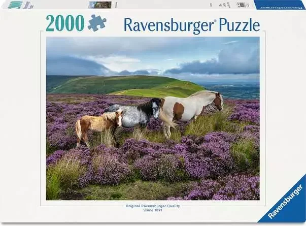 Jigsaw-Puzzle-Wild-Horses-in-the-Heather-2000-Pieces-Puzzle-12001751.webp