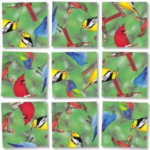 Scramble Squares North American Birds