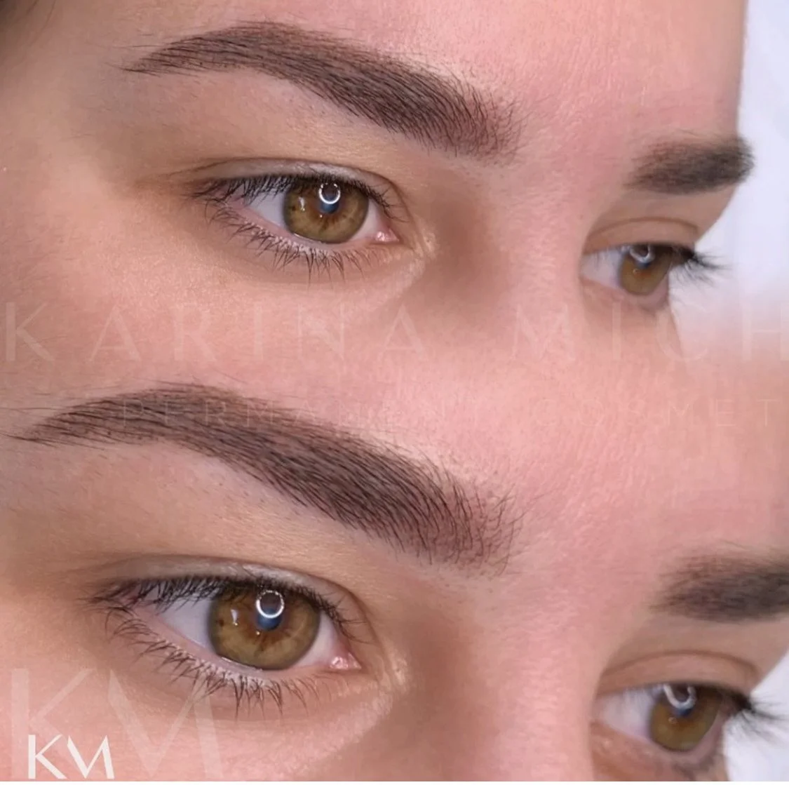 Powder Ombre Brows — Karina Michele