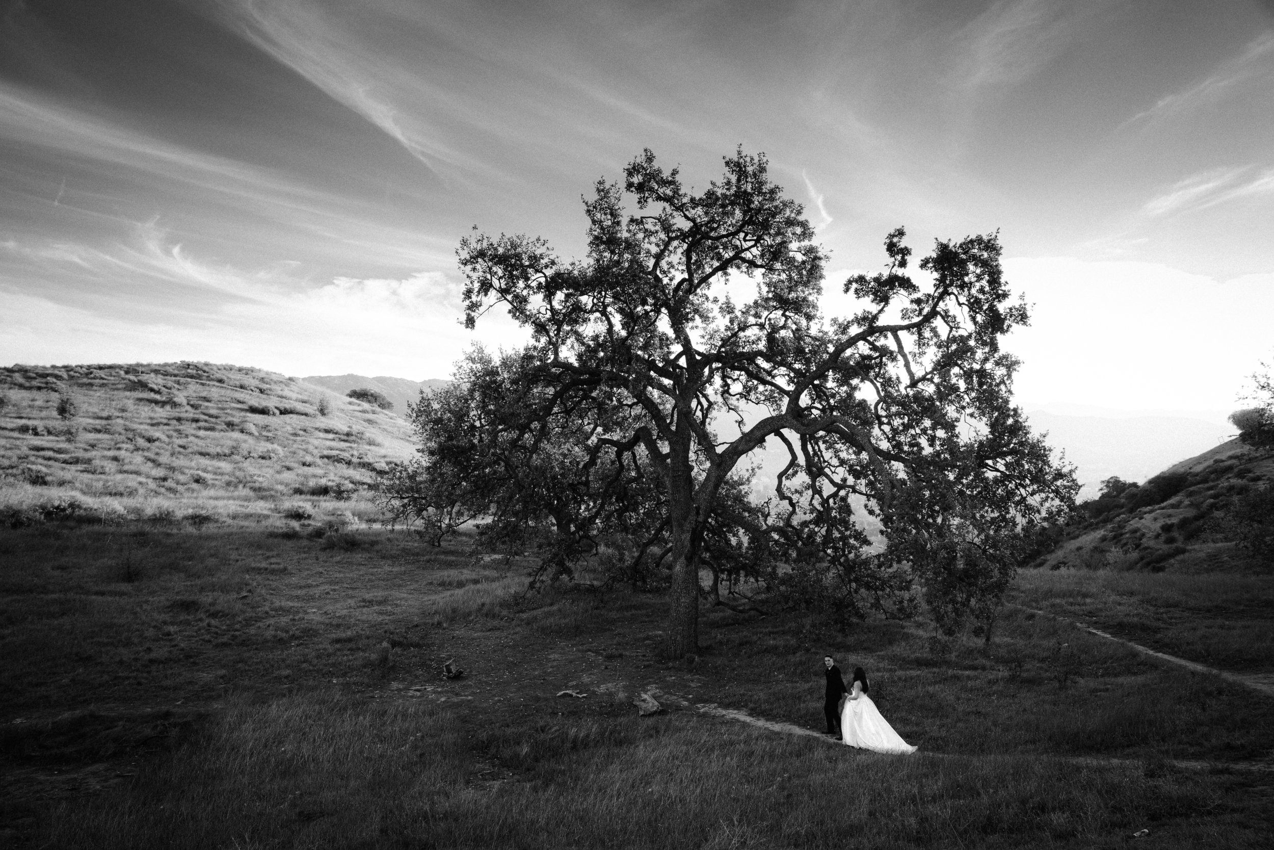 Shields_Wedding_-435-2.jpg