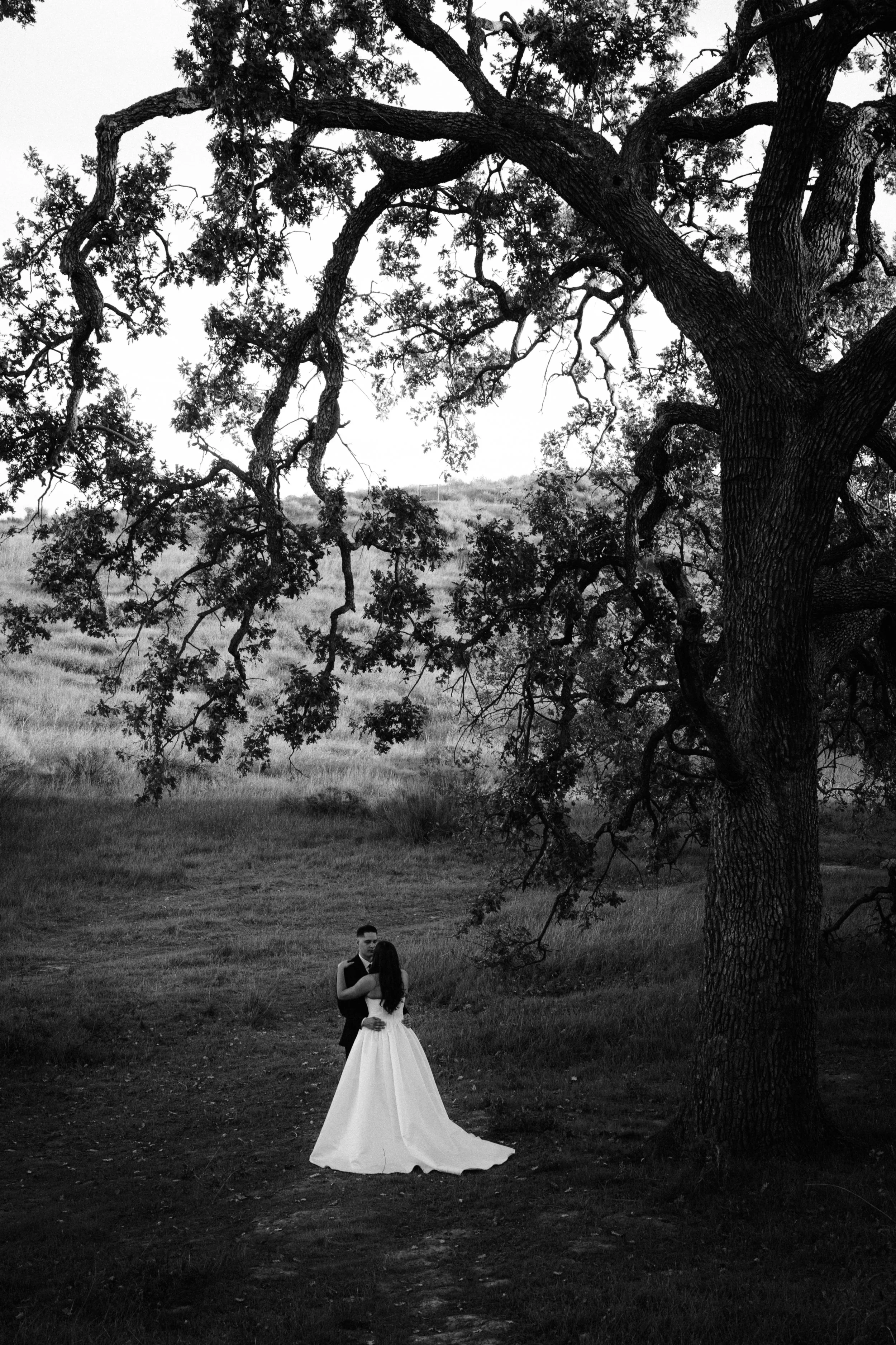 Shields_Wedding_-440-2.jpg
