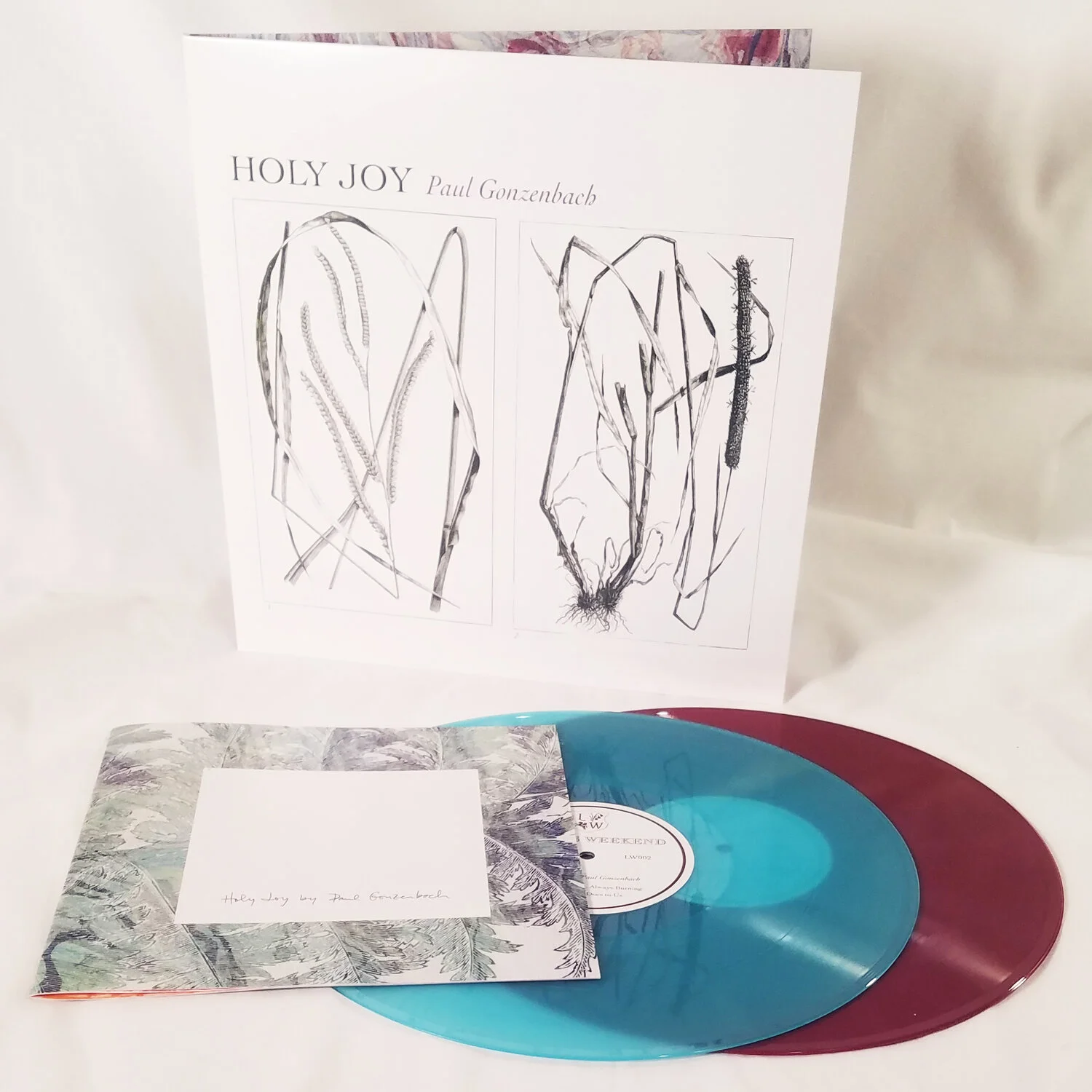 holy joy LP photo full size.jpg