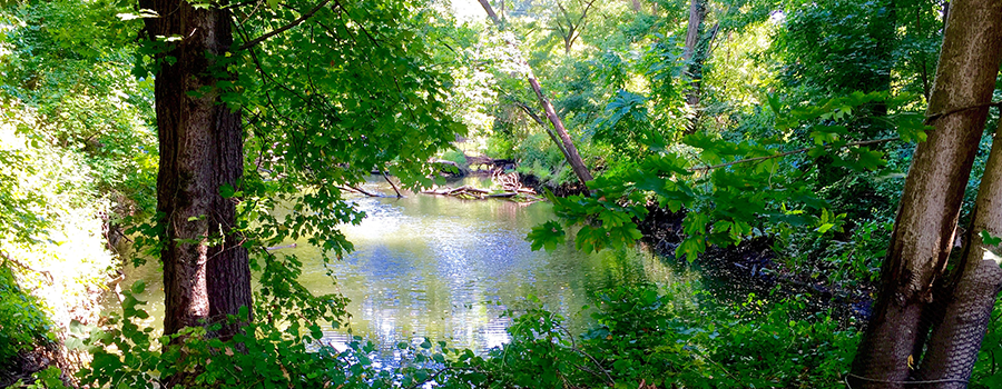 Water Bright 900_350.png