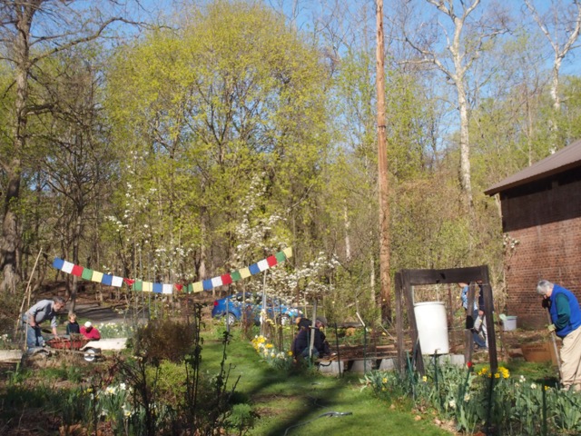 garden w flags.jpeg