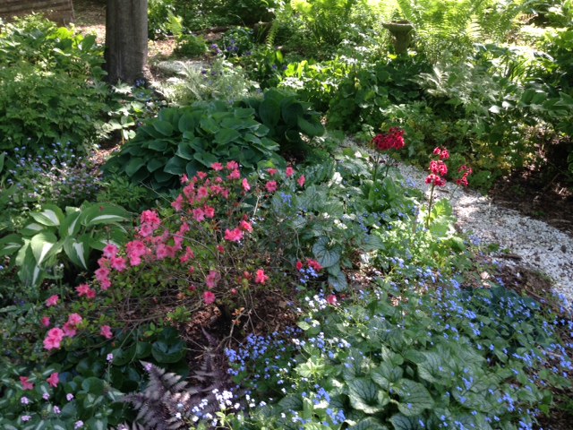 mixed flowers.jpeg