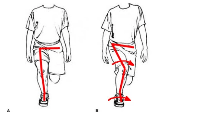 Screen Shot 2020-03-03 at 9.05.10 PM.png