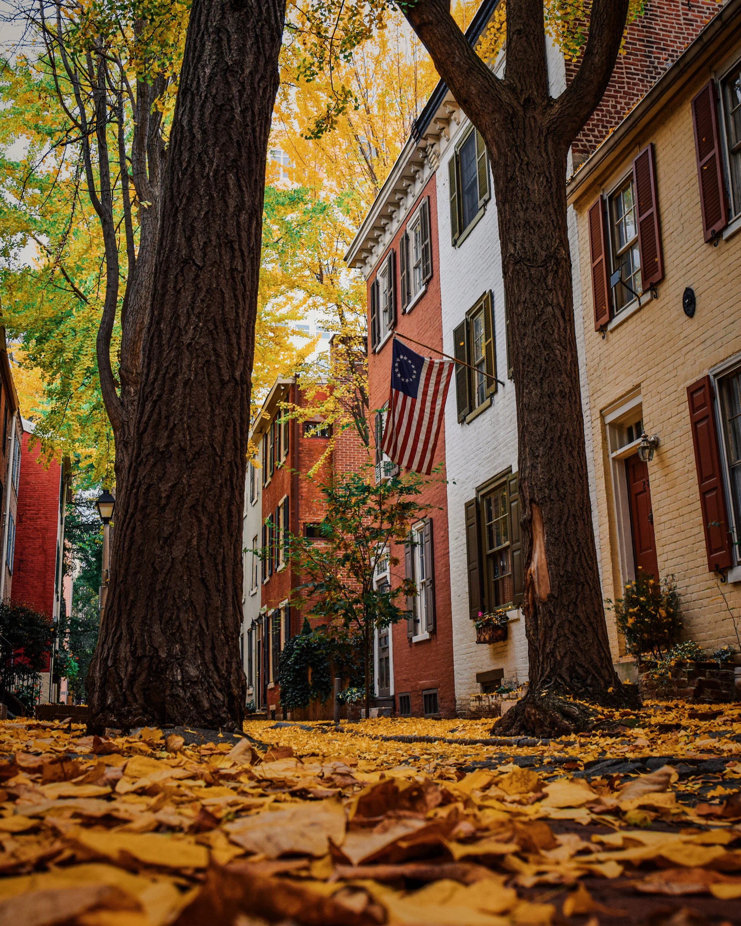 8B9CBB82-F190-4605-9A5C-F8692D803729 2.JPG