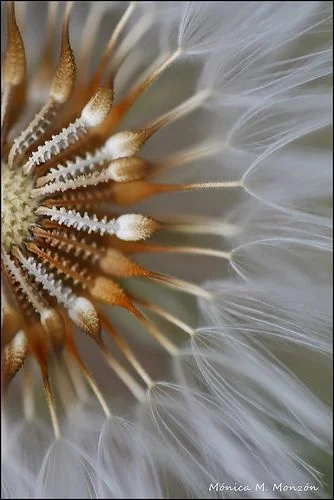 Bombshells &amp; Blissfulness 