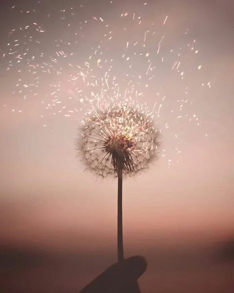 Let the winds of change dance between your secrets, gut and shame