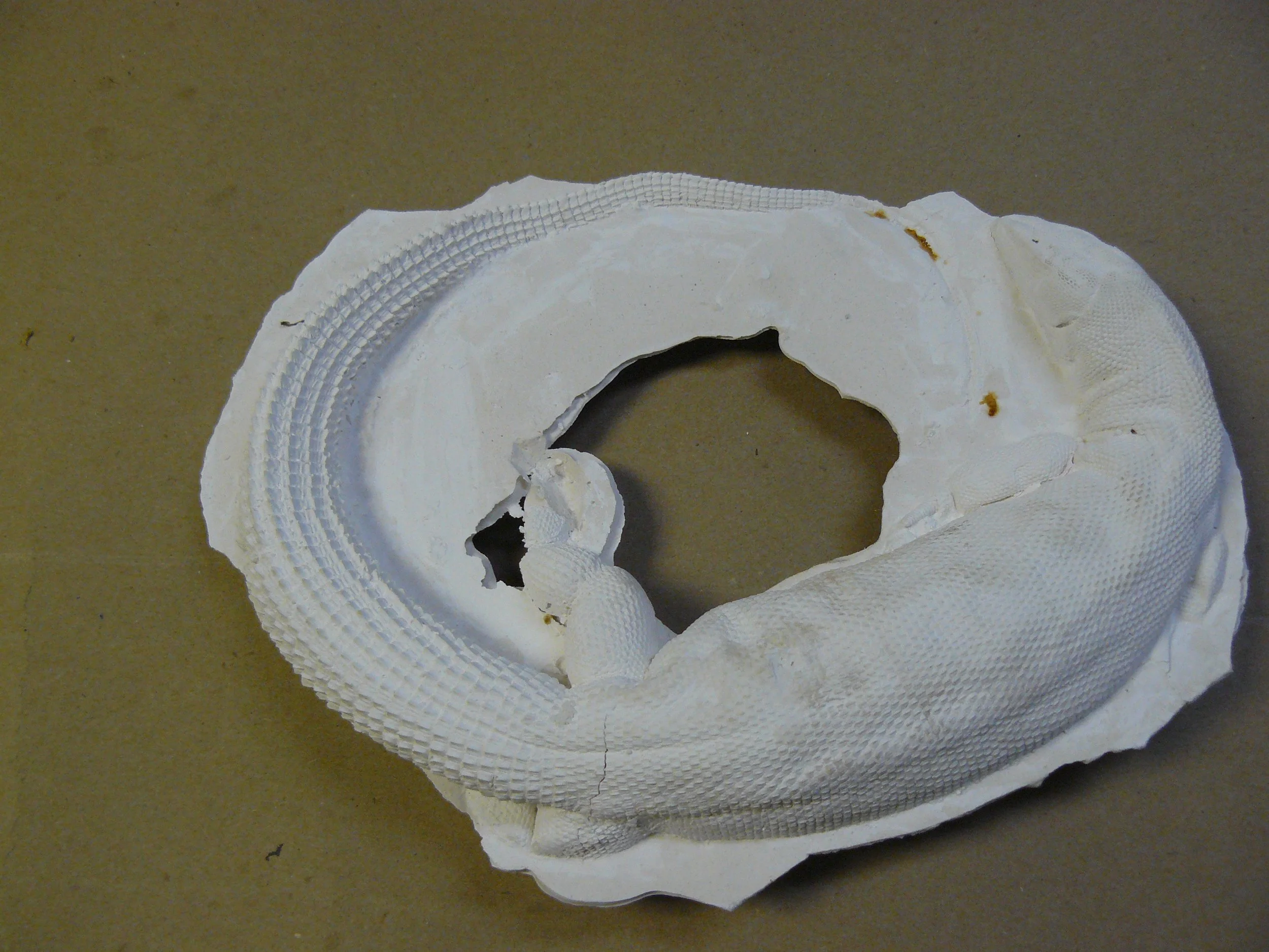 Copy of P1050460.JPG