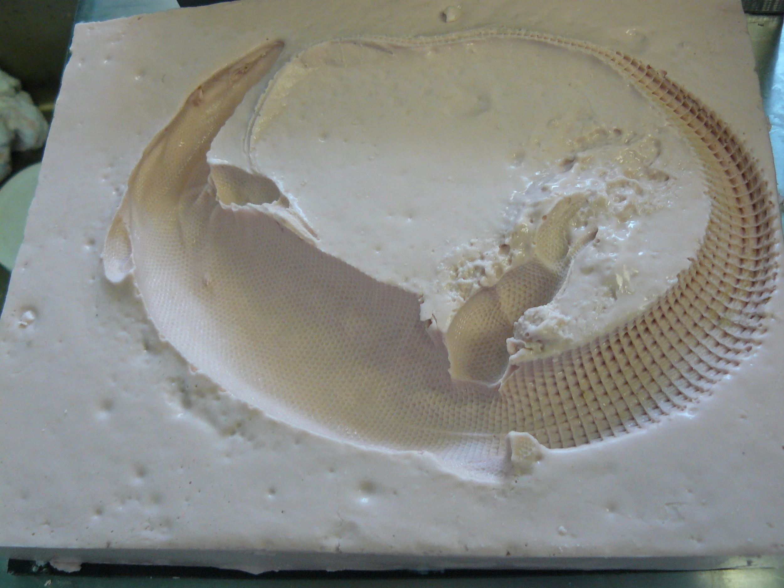 Copy of P1050333.JPG