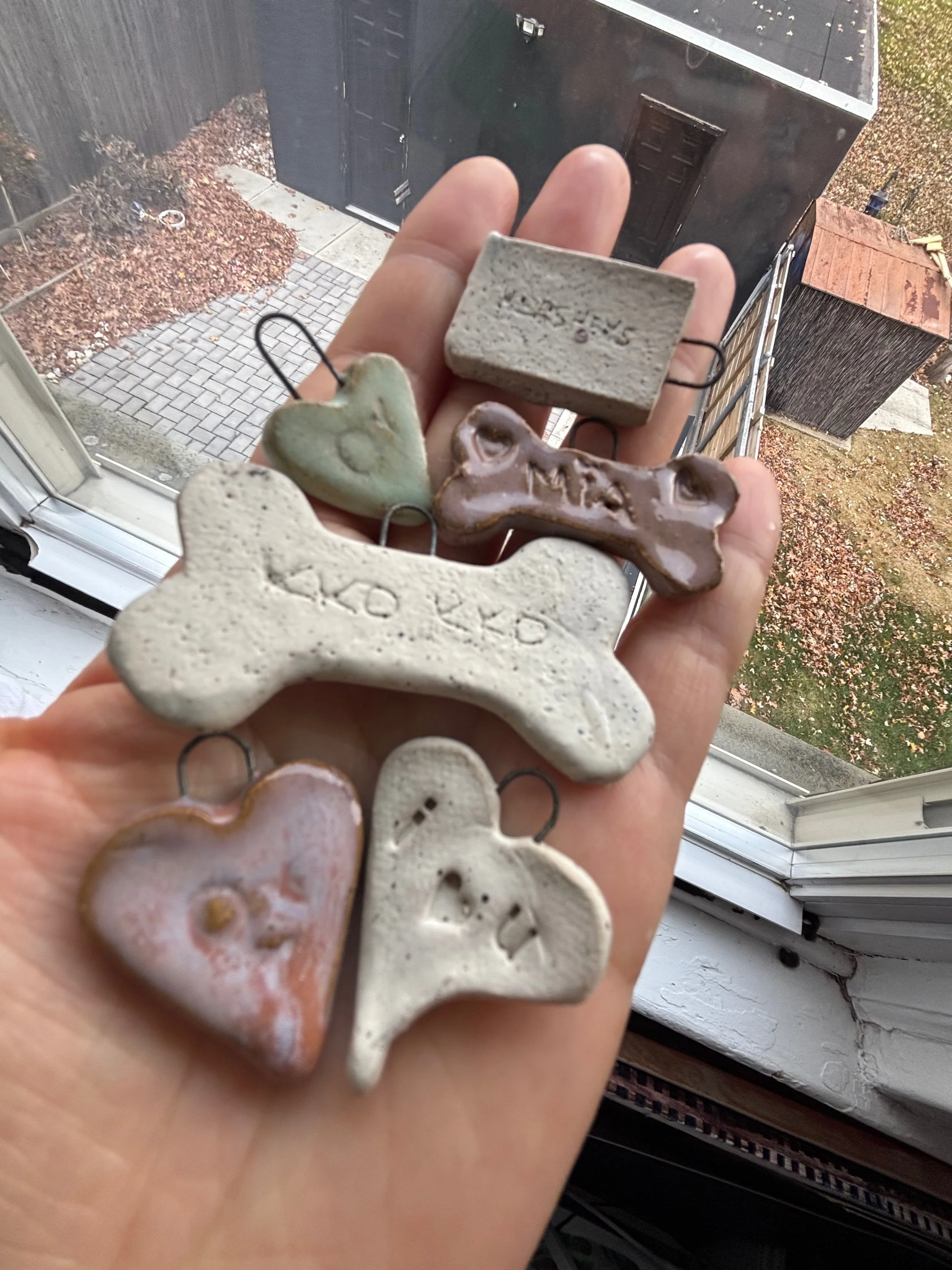 DOGTAGS.jpg