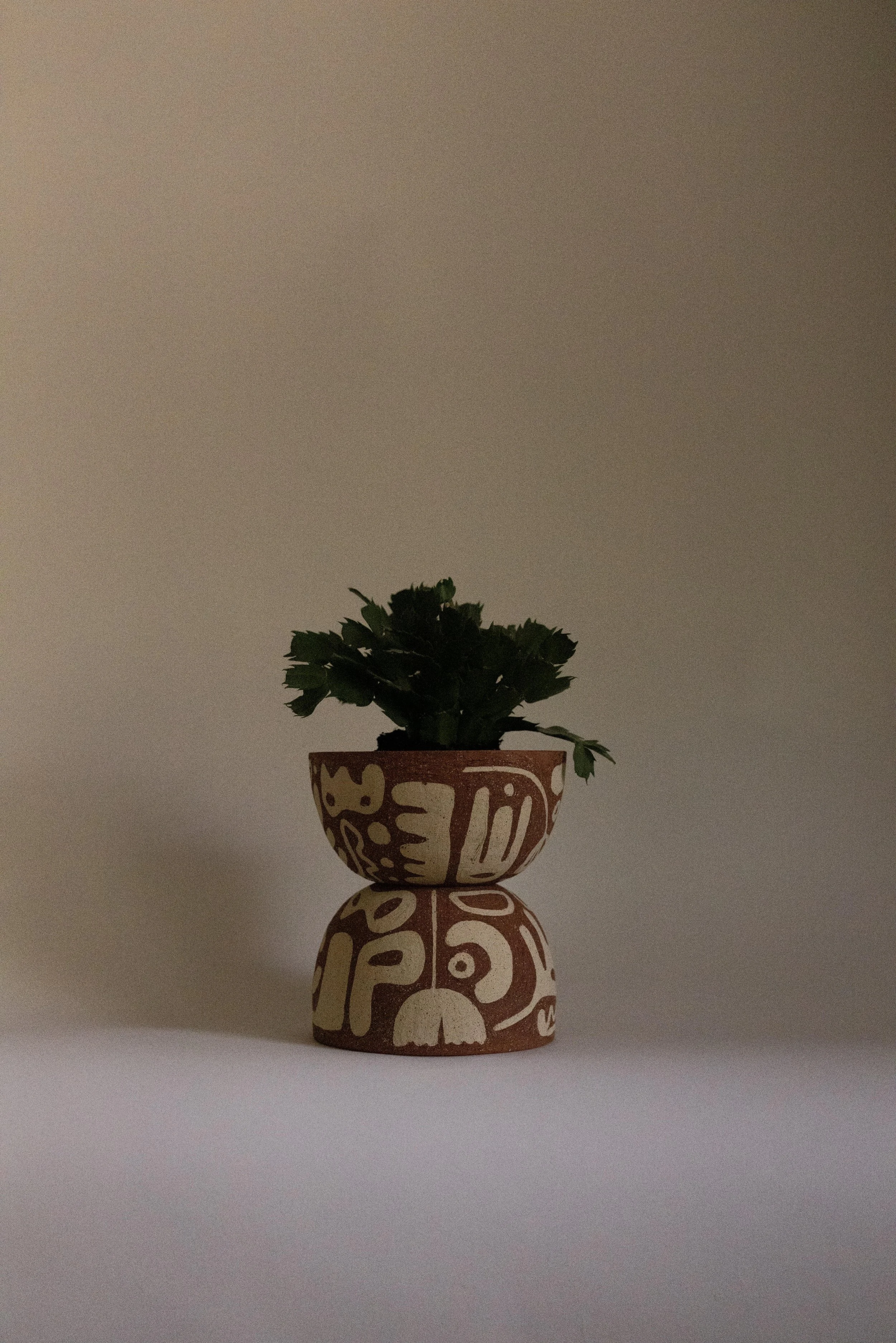 pot38.4.jpg