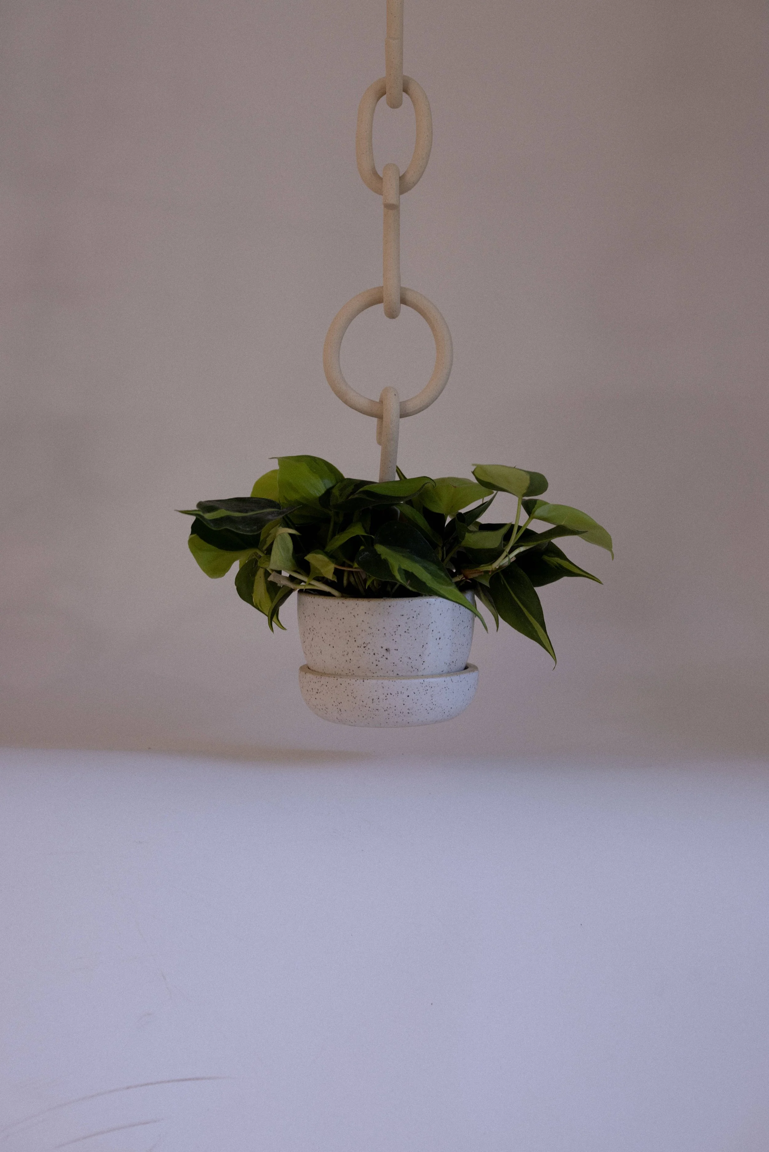 Stringless Planter No. 16