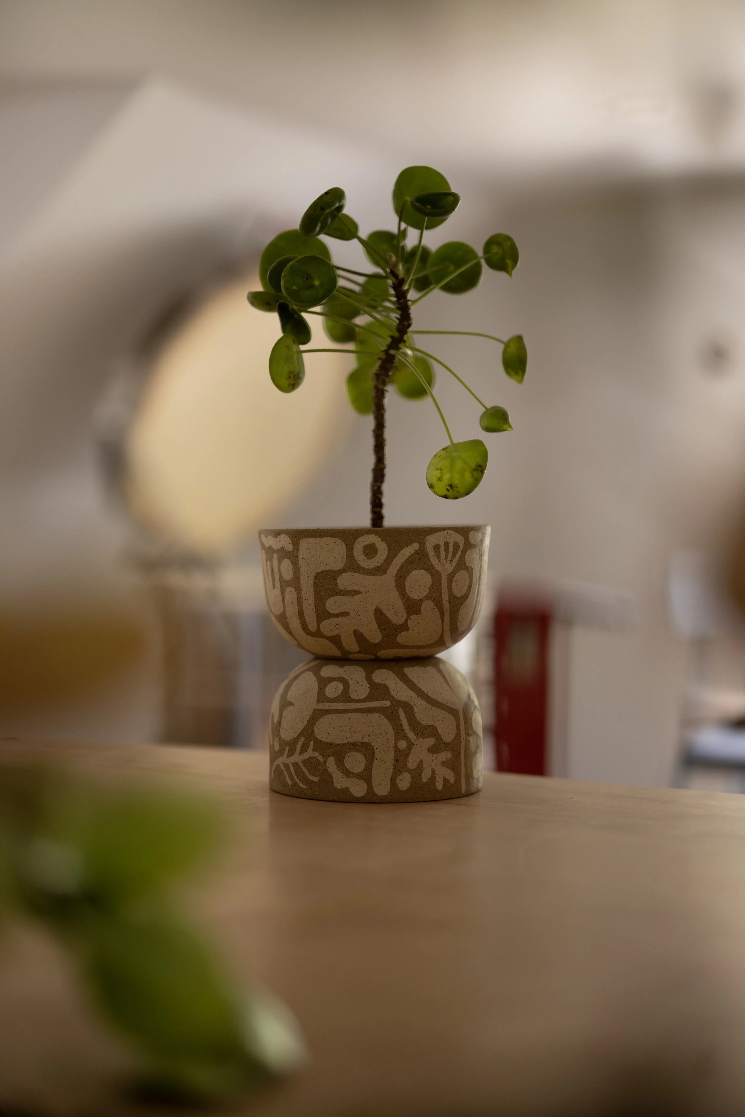 hidden planter no. 39