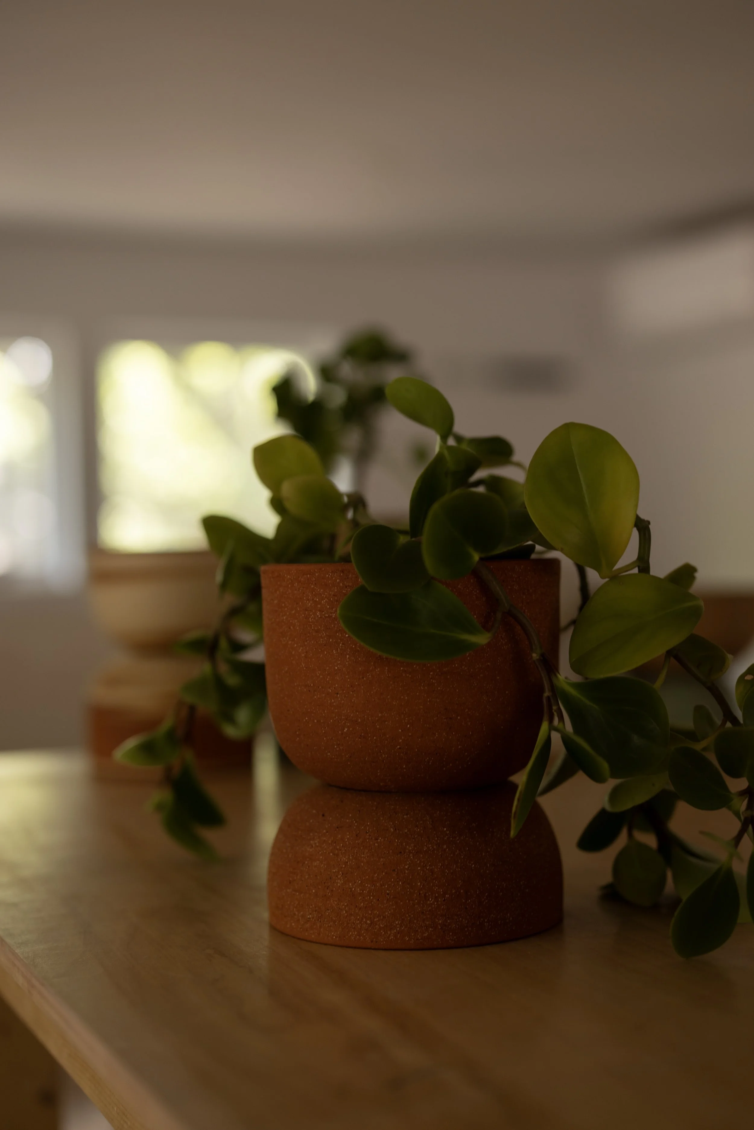 hidden planter no.36