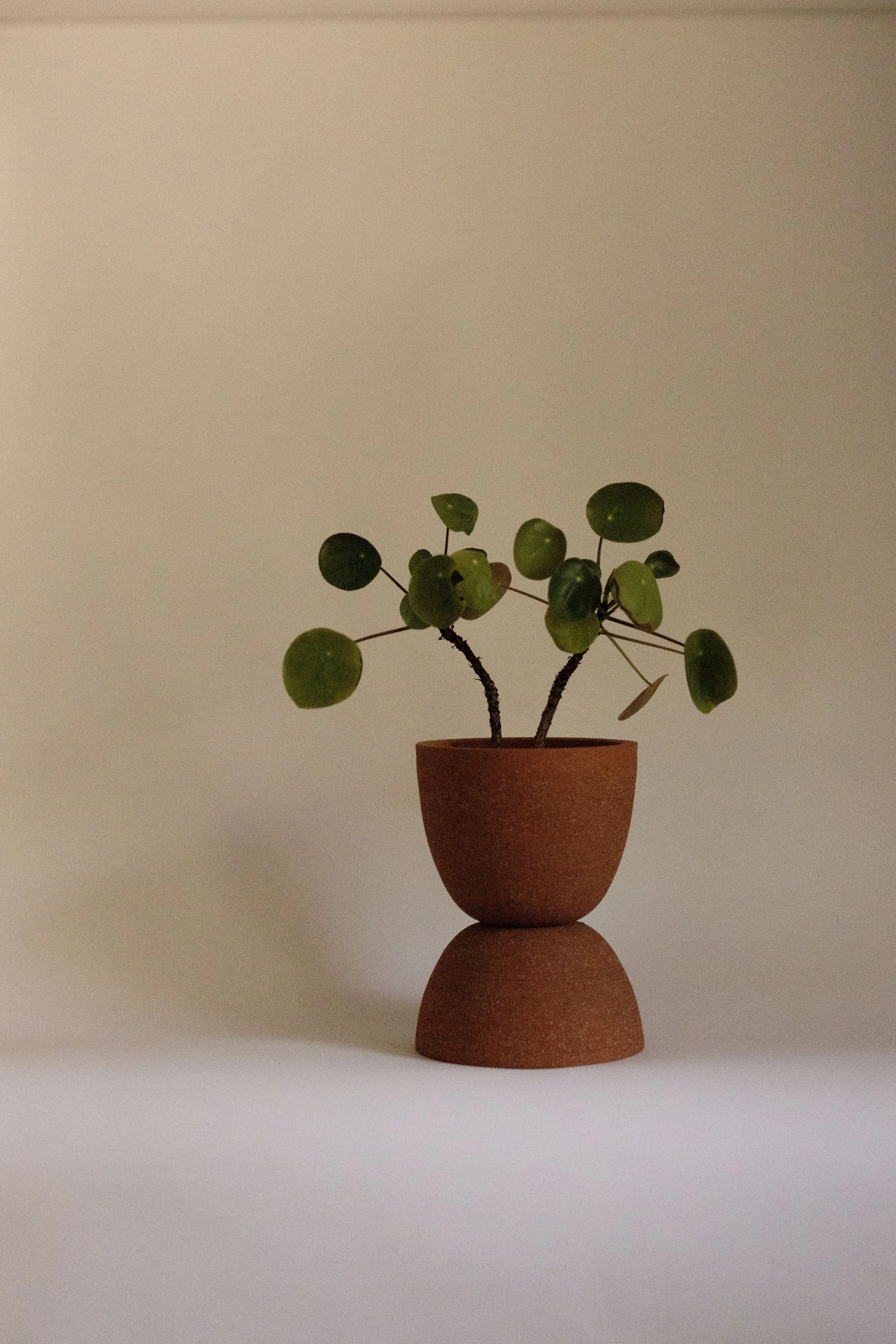 plant pot 2.jpg