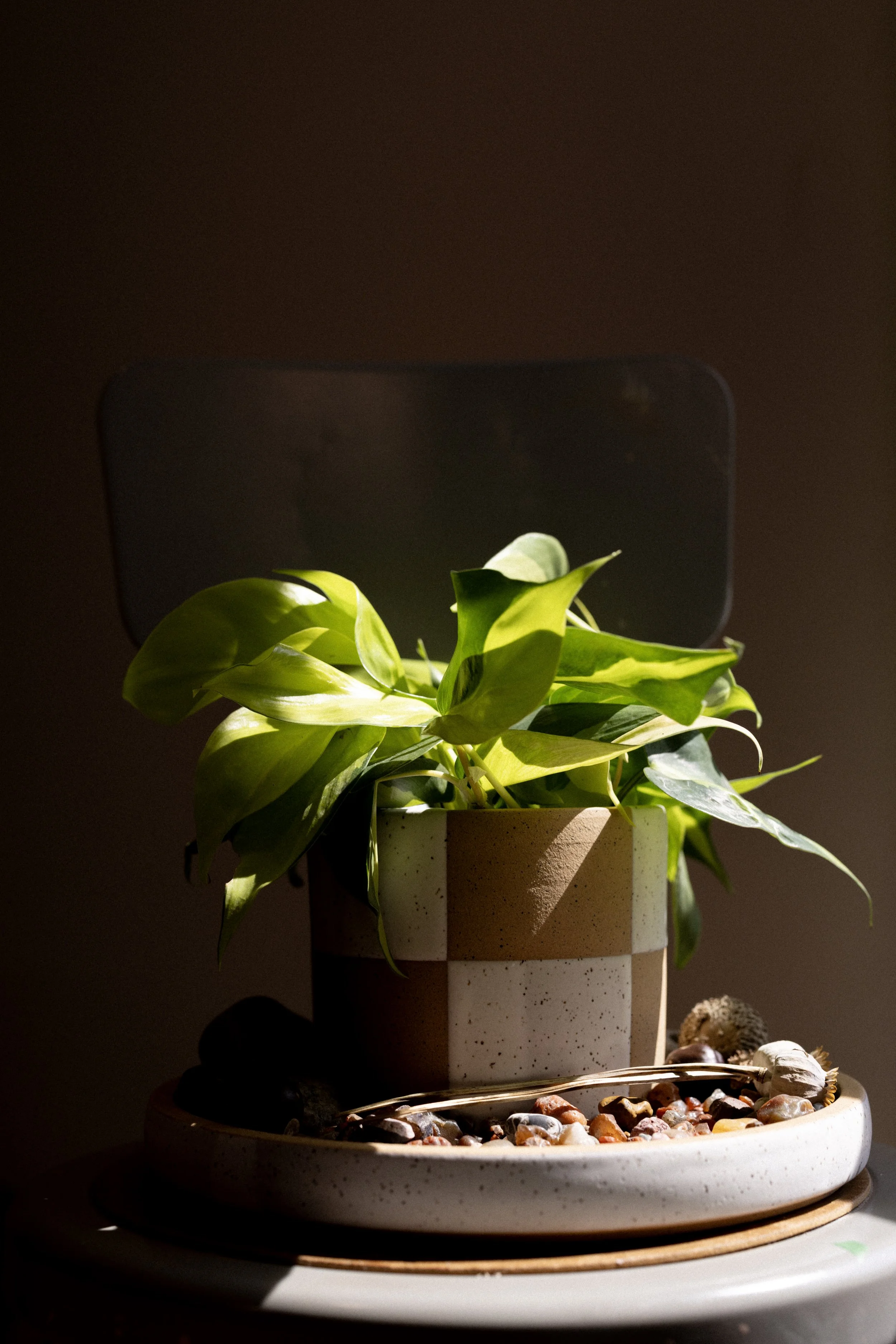 Pocket Planter no.06, 07, 08
