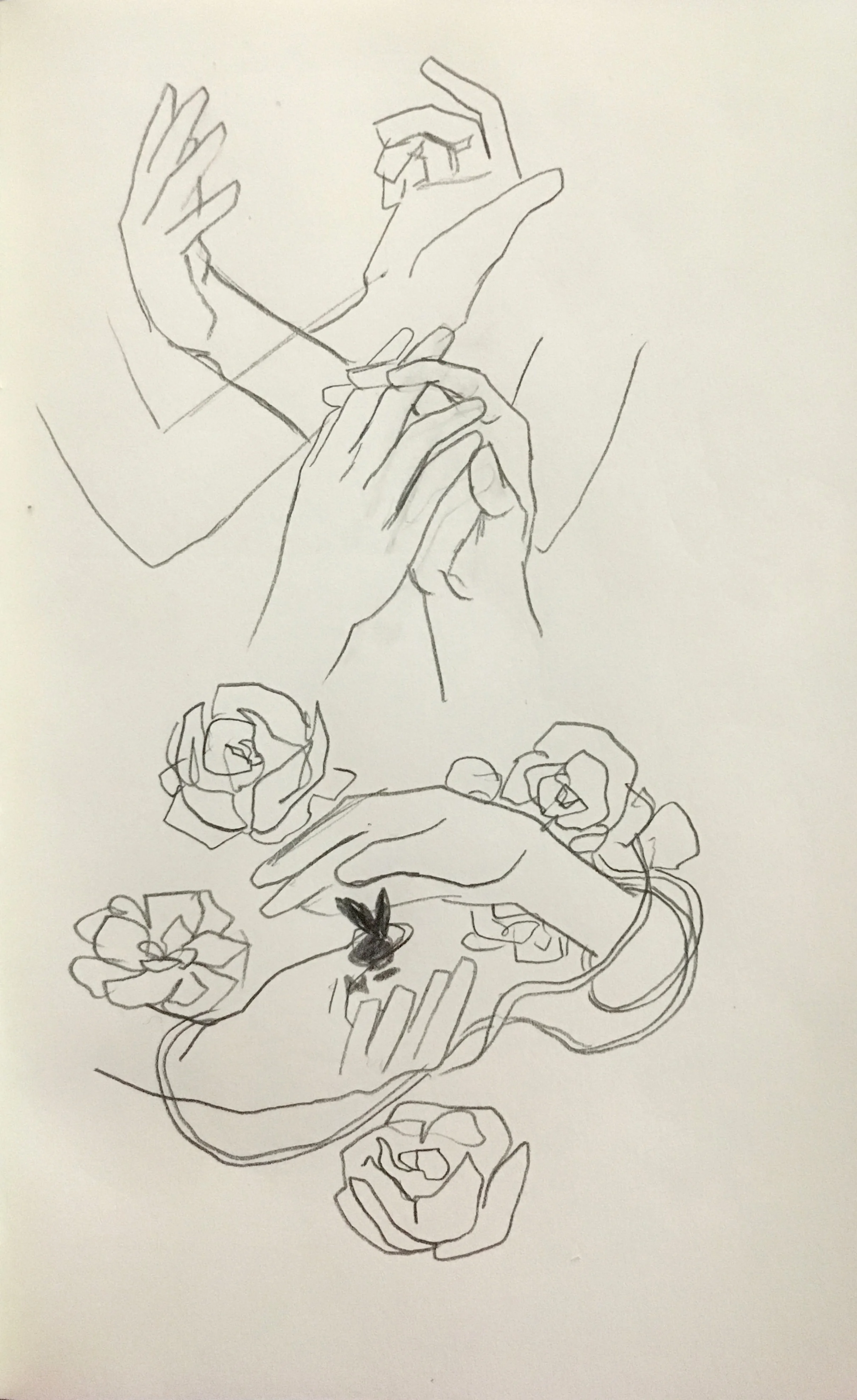 Listen Up Ears_sketch 5.jpg