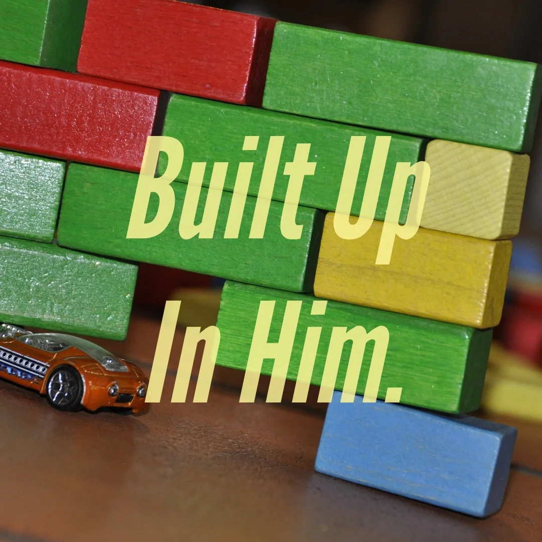 Built up in Him.jpg