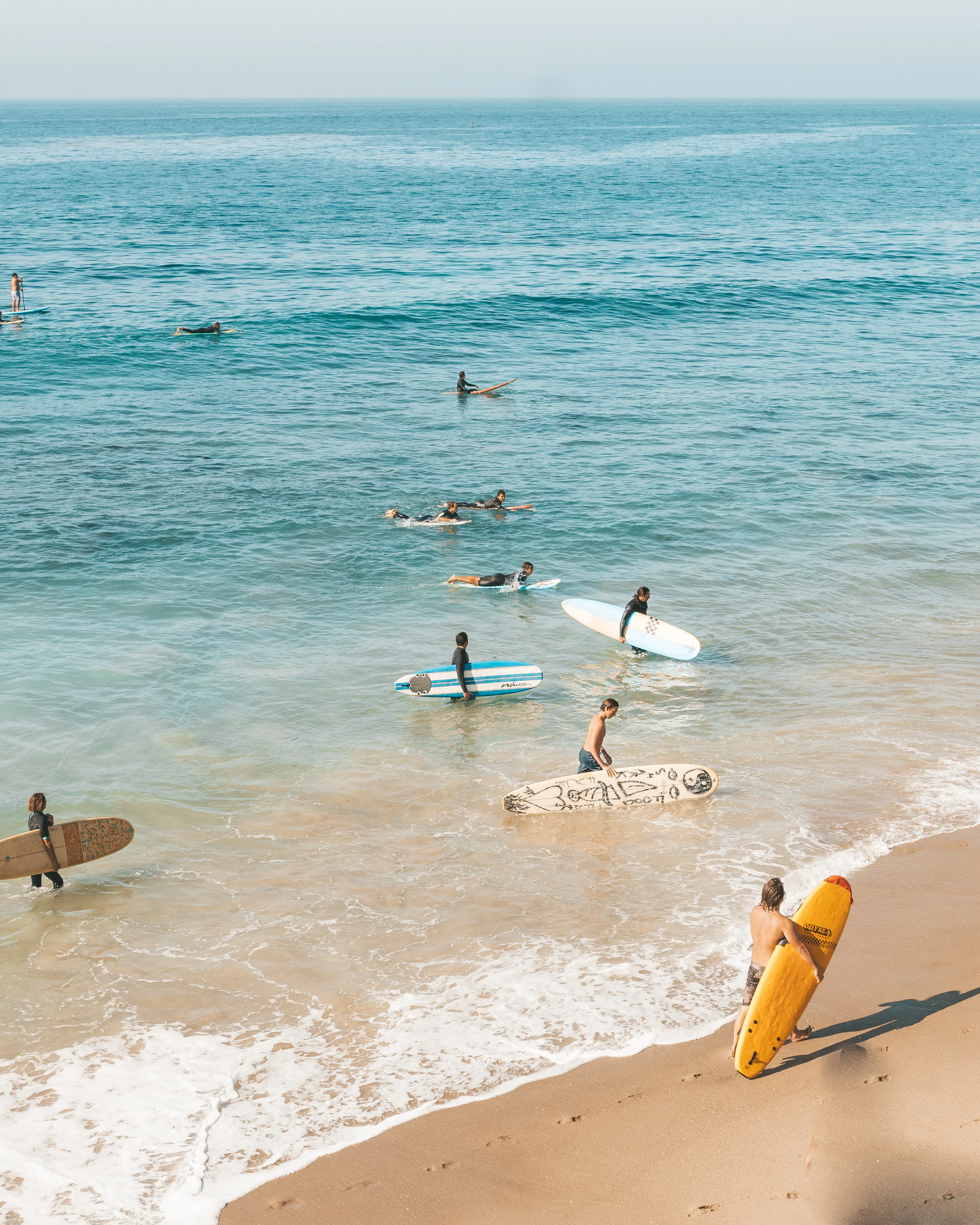 Kook 101: Learning to Ride the Waves of Life