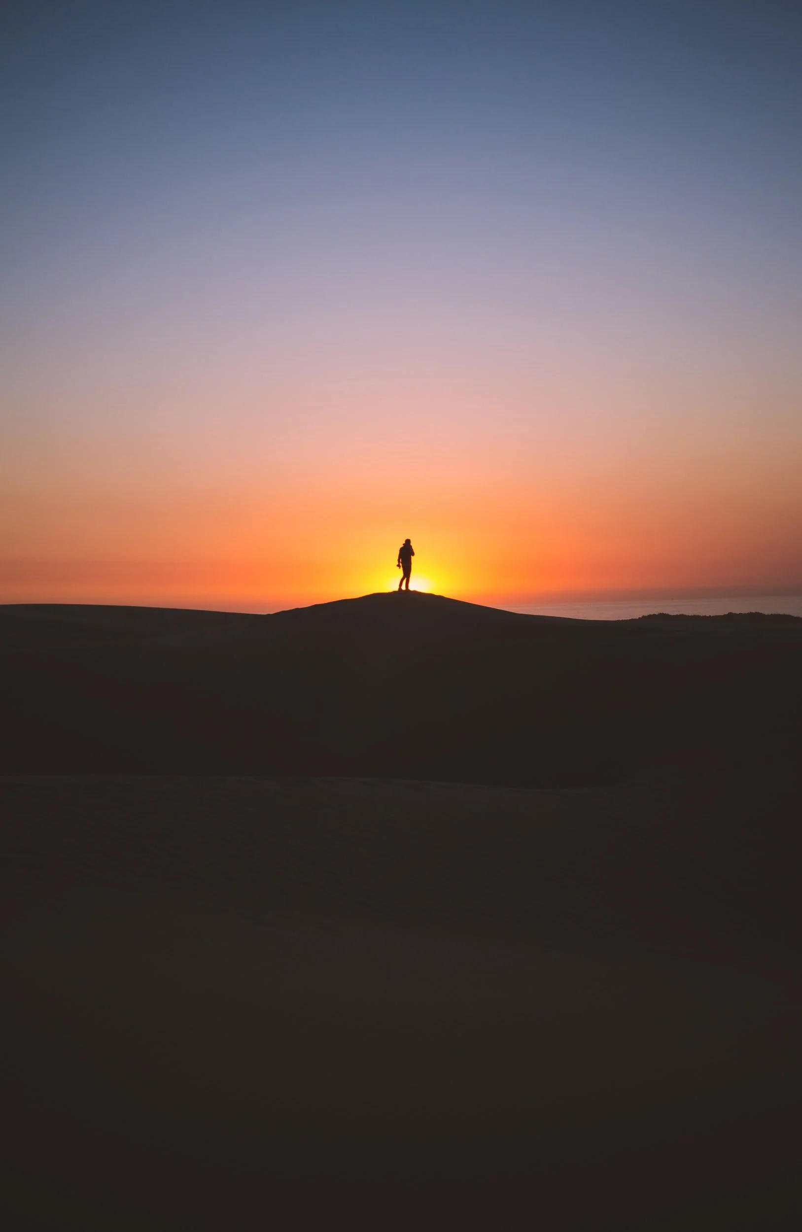 Best purchase of 2019