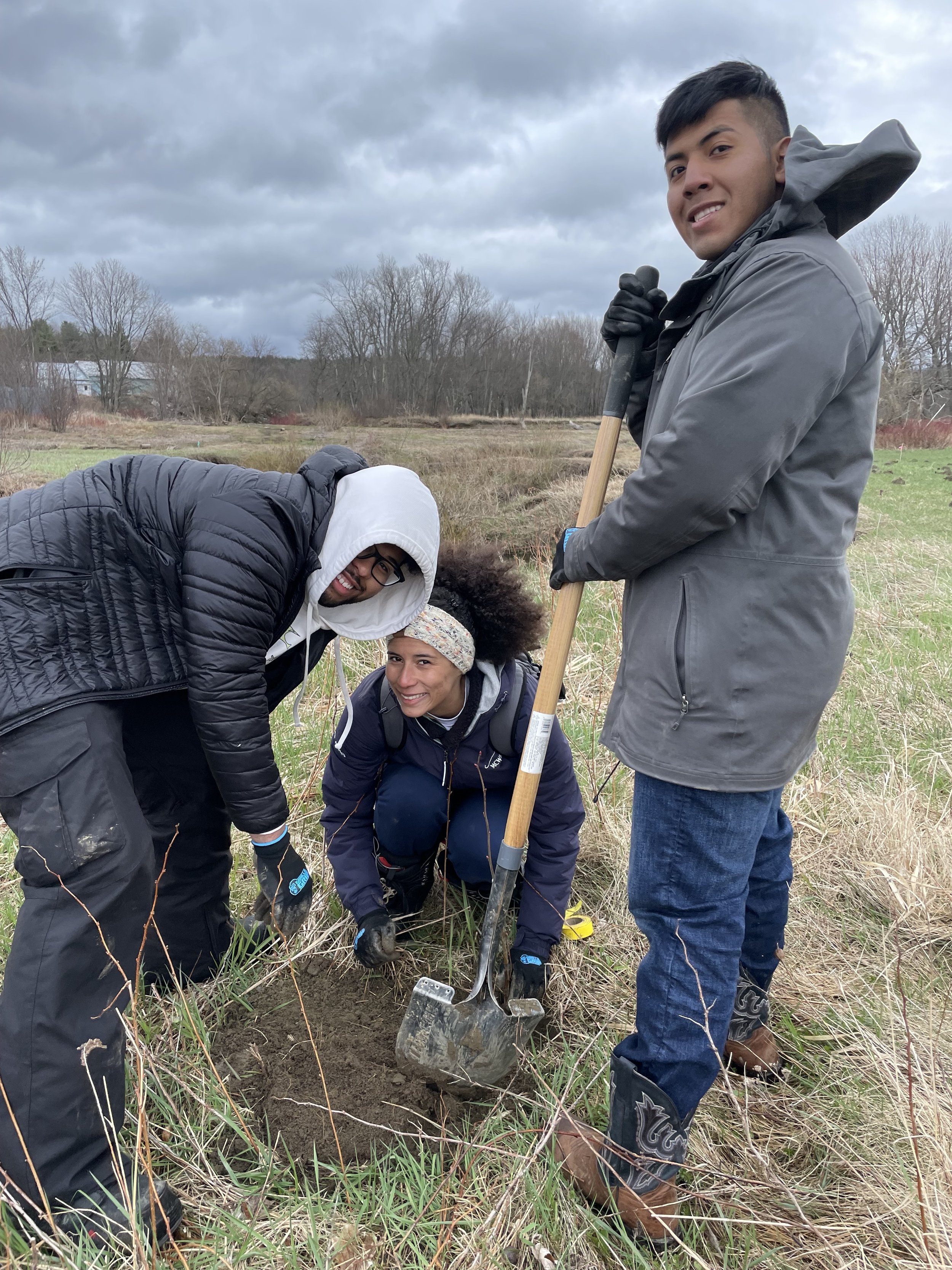 Bronx Youth_Conservation_Planting Tree_Vermont 3.jpg